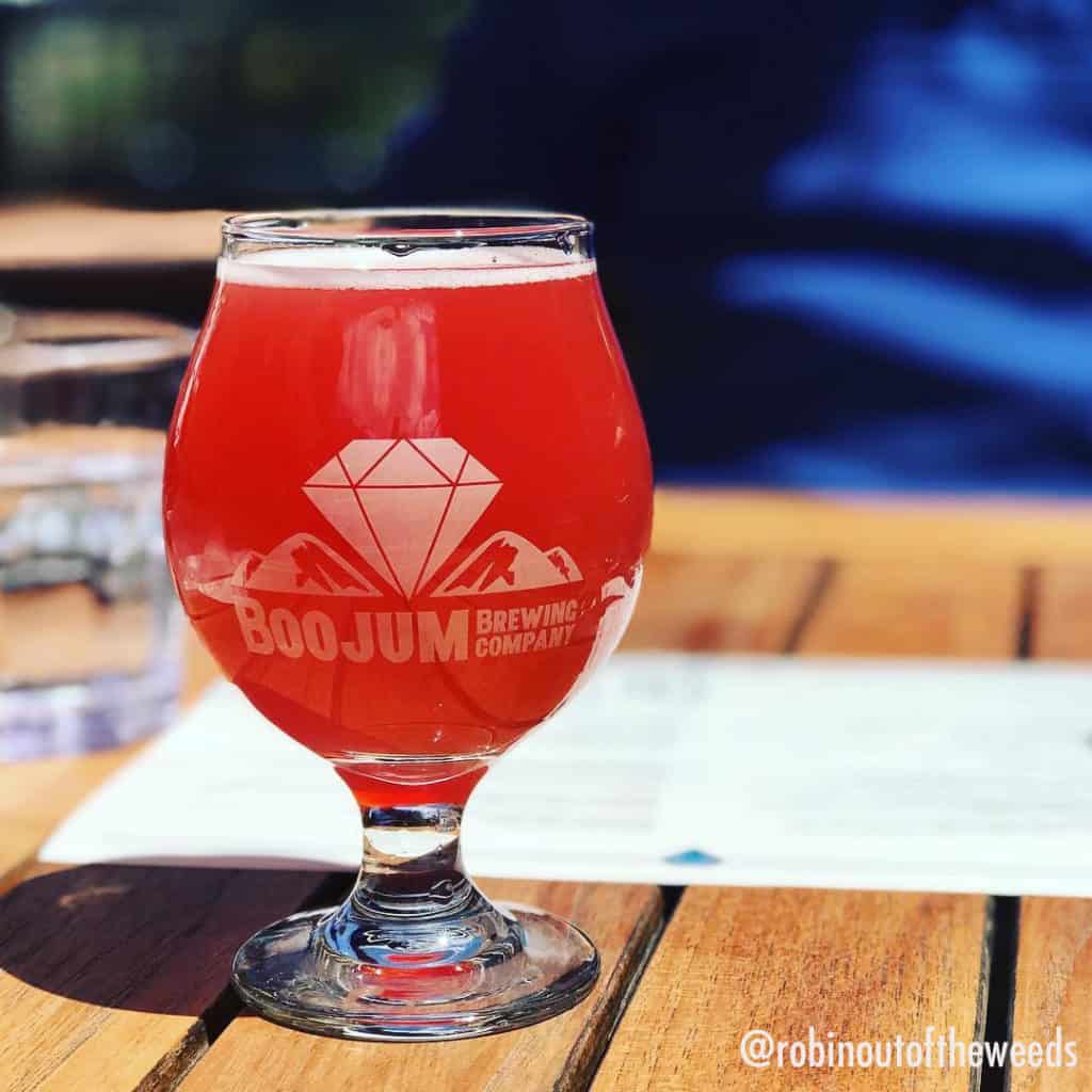 Boojum Brewing Company in Waynesville, NC