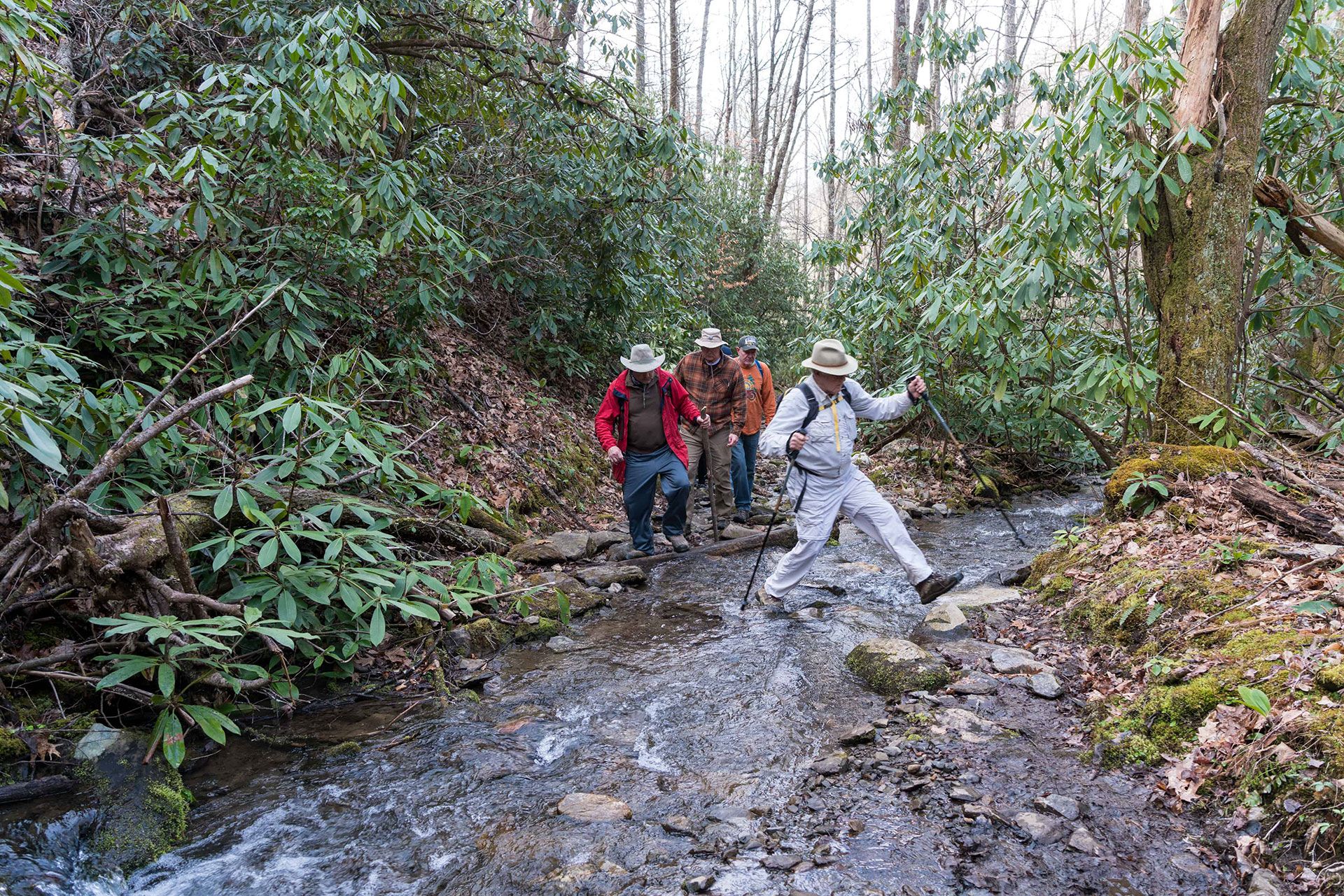 Hikers crossing creek on Little Cataloochee Trail