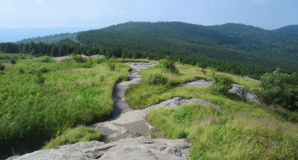 Art Loeb Trail at Black Balsam
