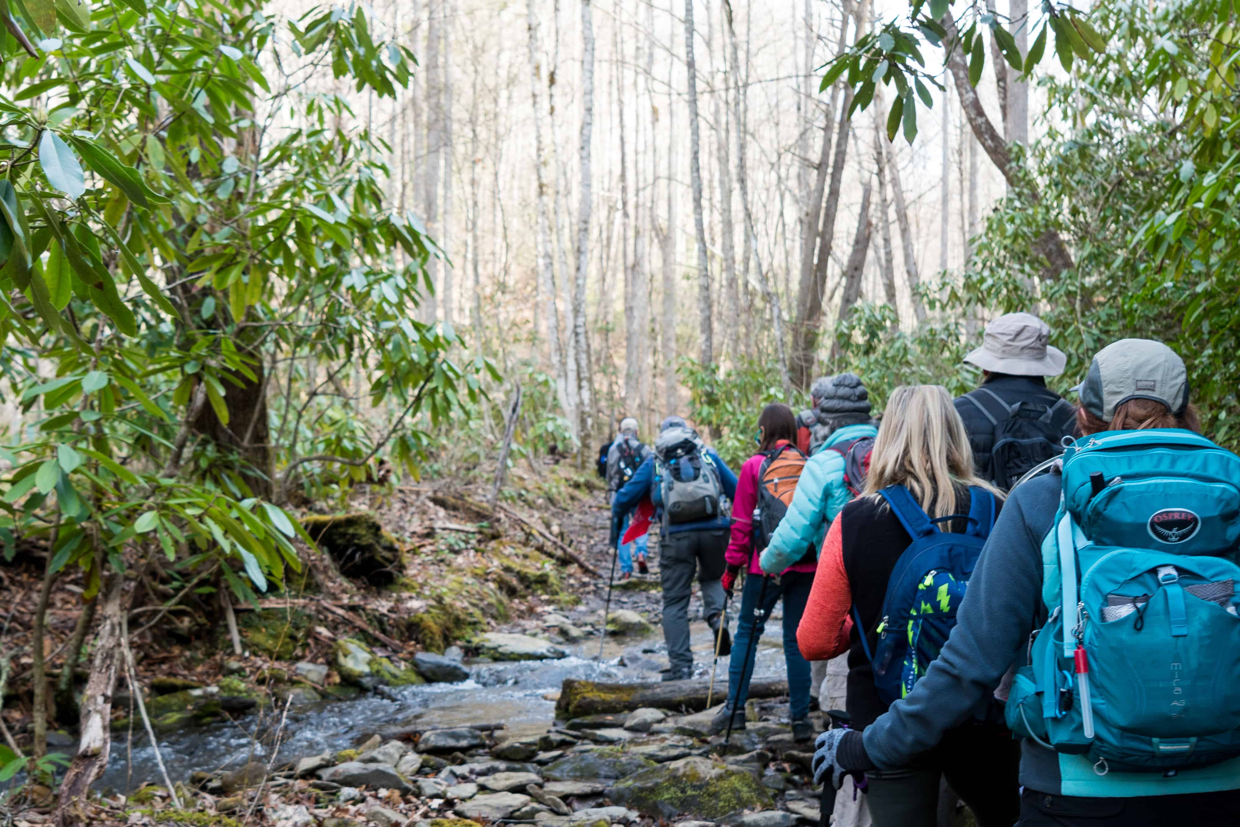 Hikers on Little Cataloochee Trail