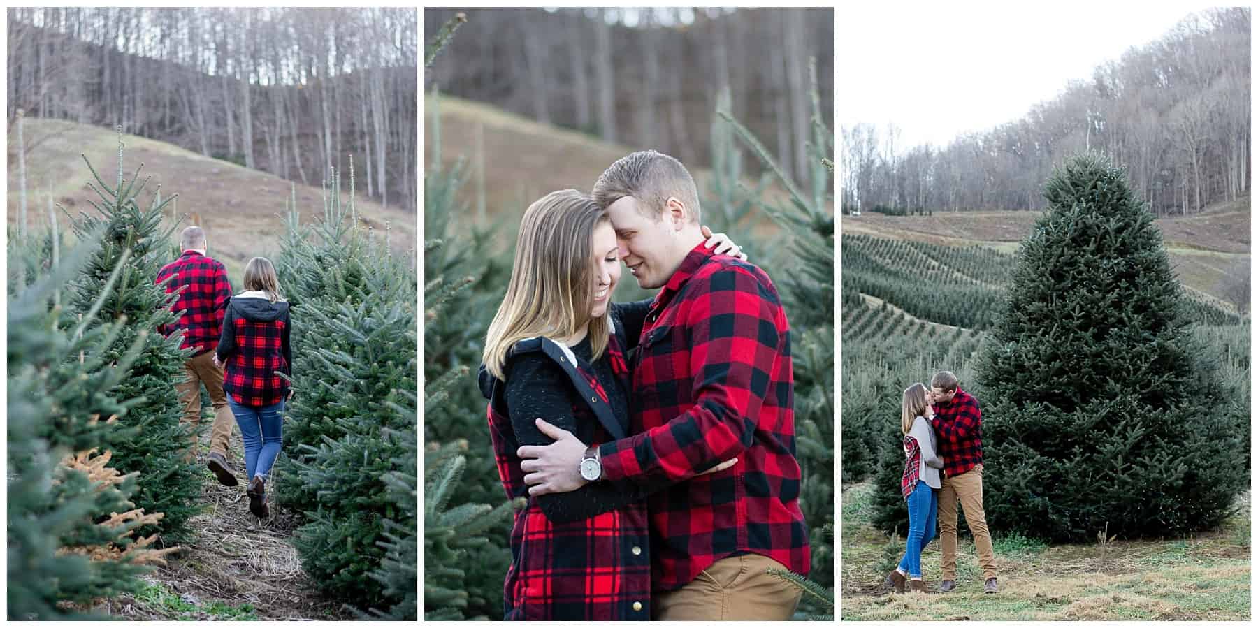 Boyd Mountain Farm Weddings and Engagements by Victoria Grace Photography | Visit NC Smokies