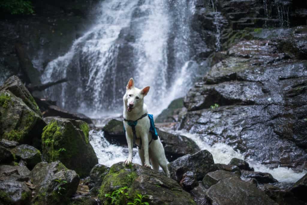 great-smoky-mountains-national-park-waterfalls