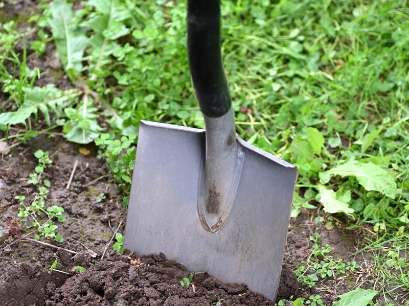 Building together toward a new food system