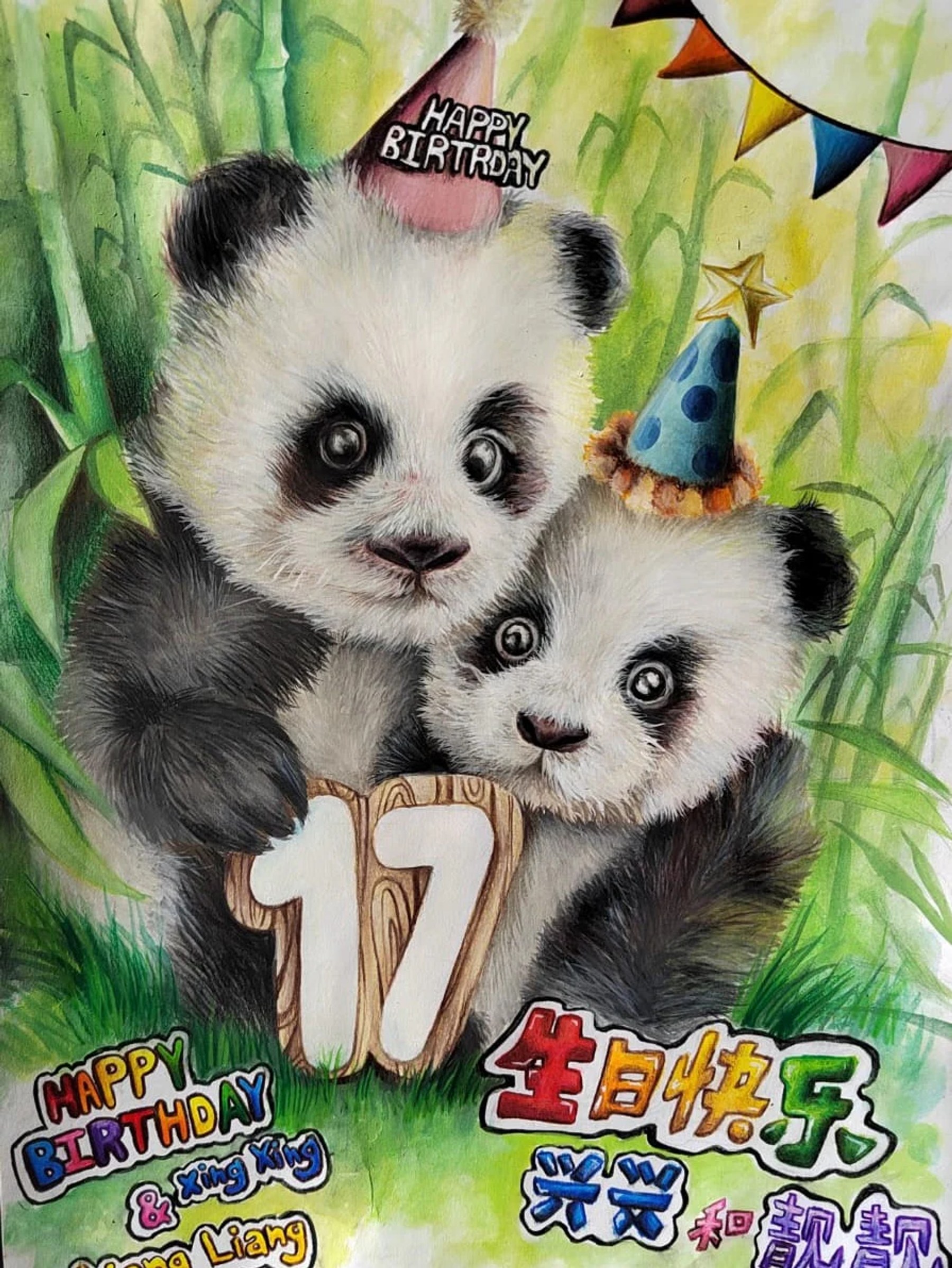 Two illustrated pandas celebrating a seventeenth birthday