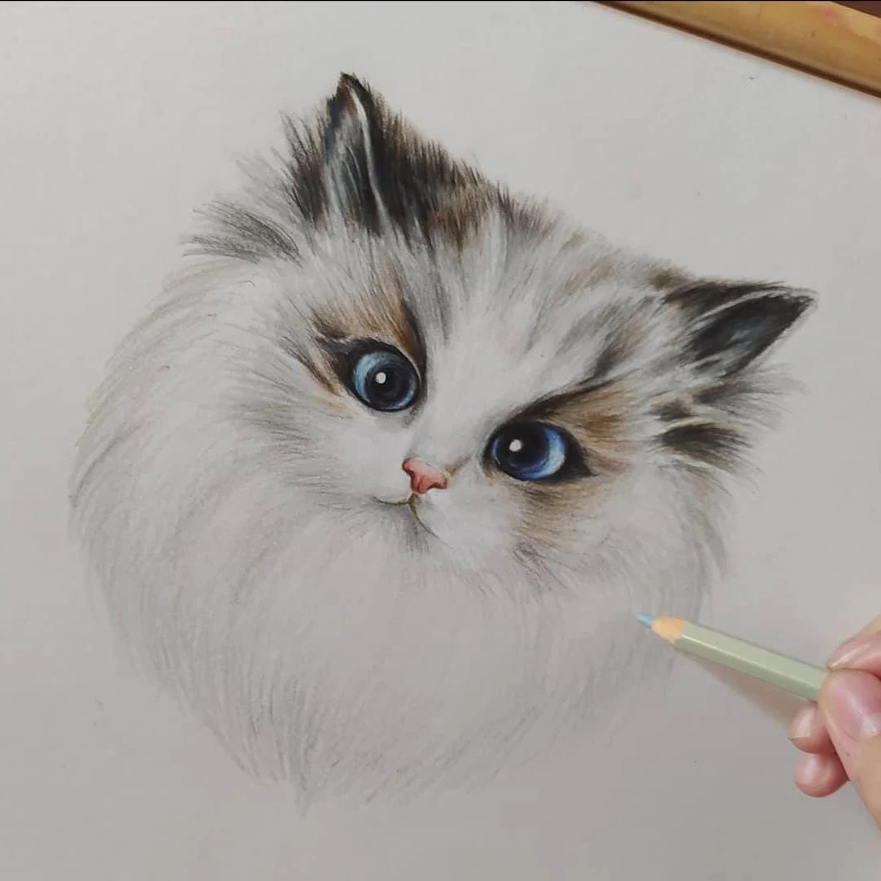 A soft grey-and-white cat portrait being painted from a reference