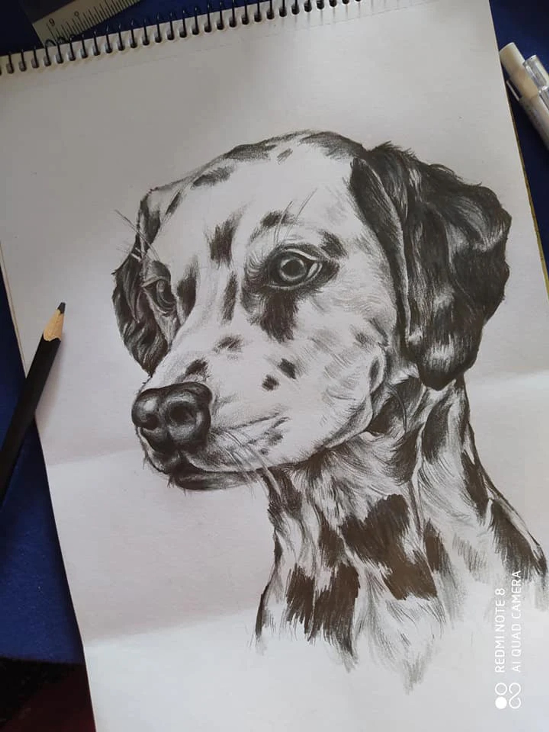 A black-and-white pencil portrait of an alert dog