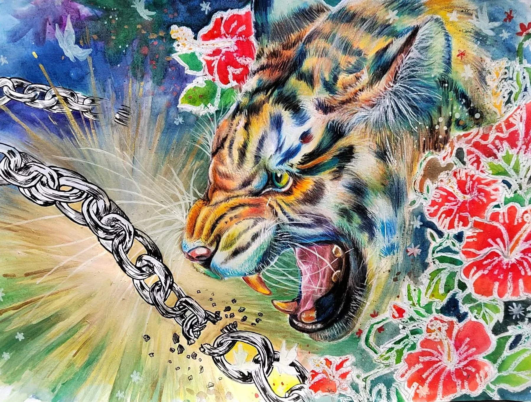 Malayan tiger breaking through heavy chains