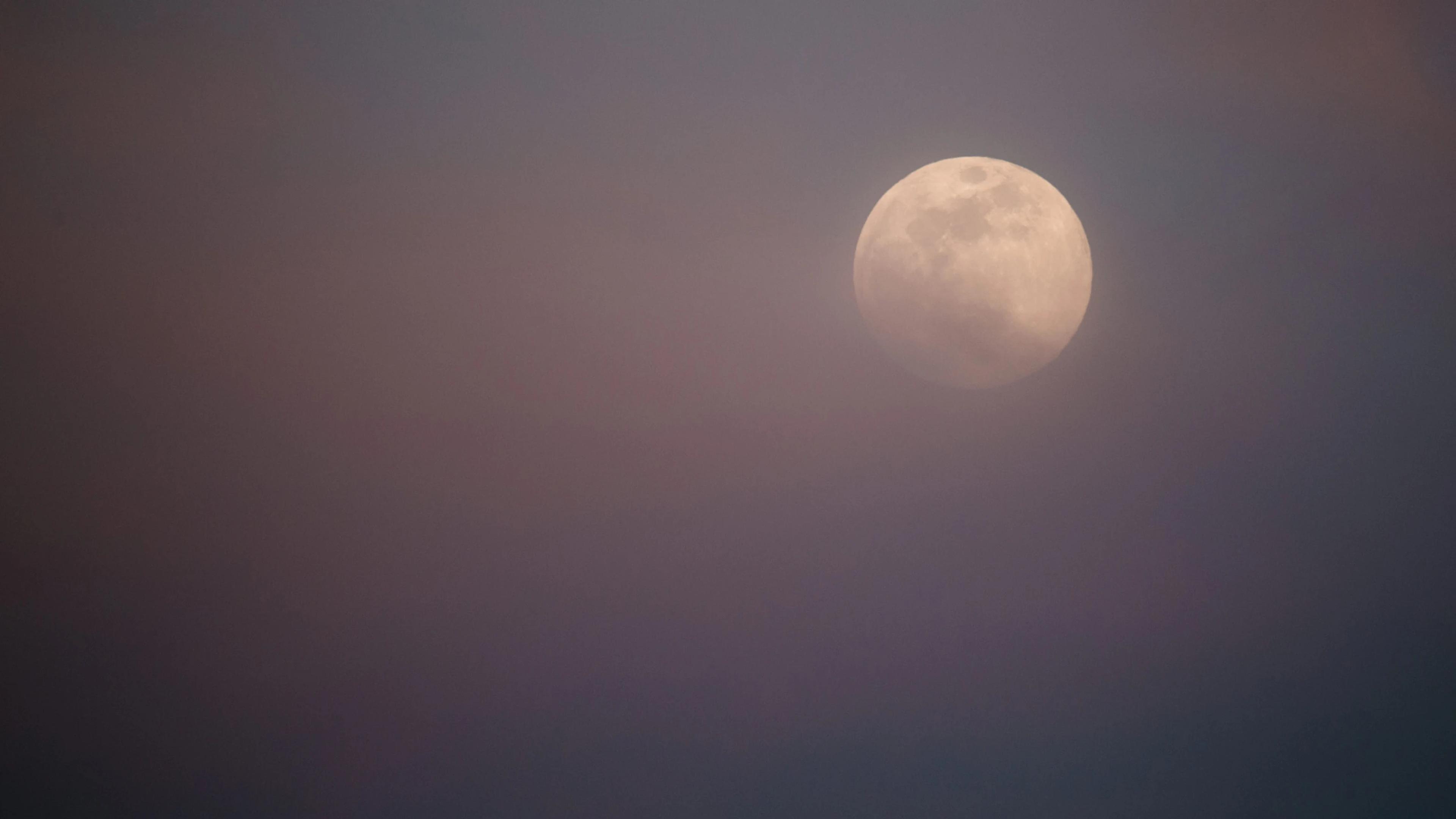 Hunter's Moon Yoga Practice