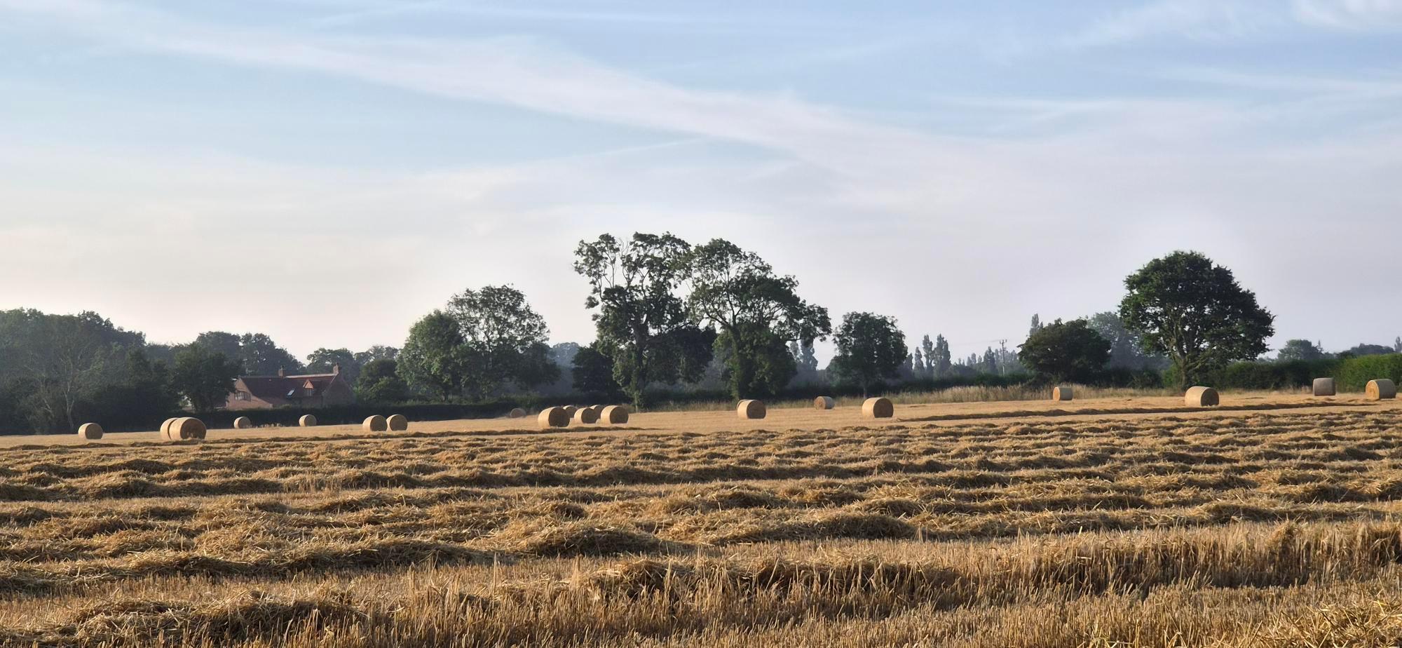 Harvesting