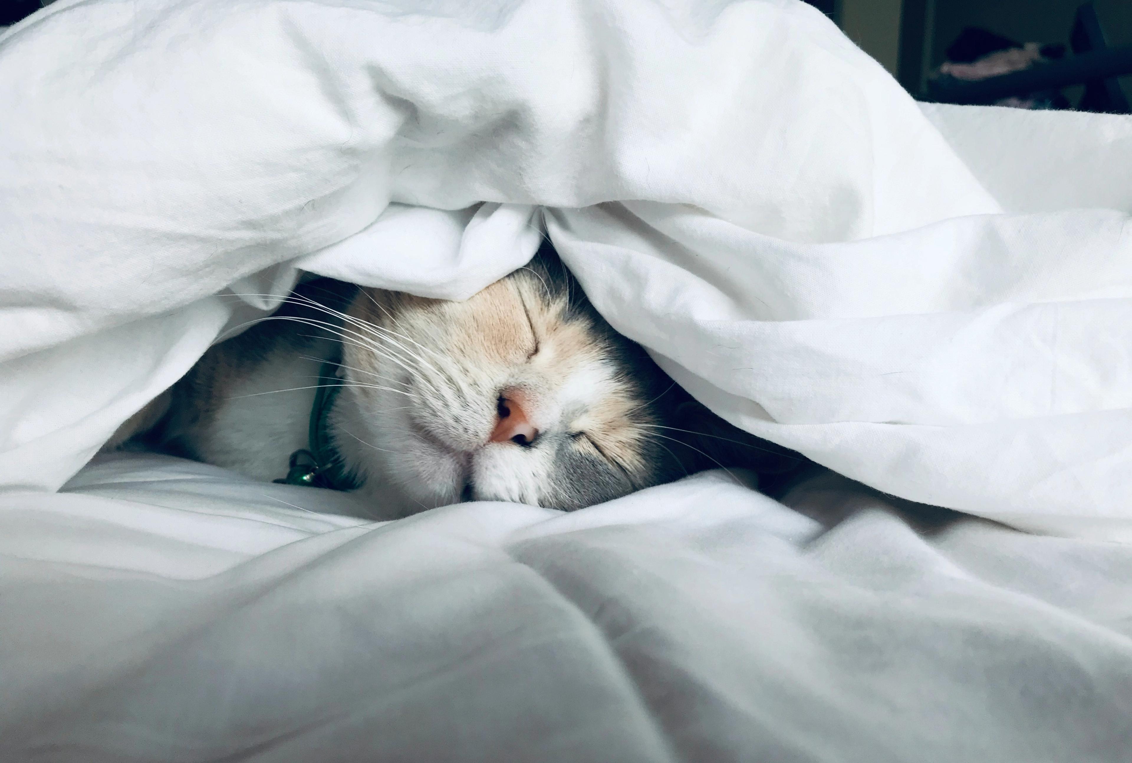 When did you last sleep like a baby?