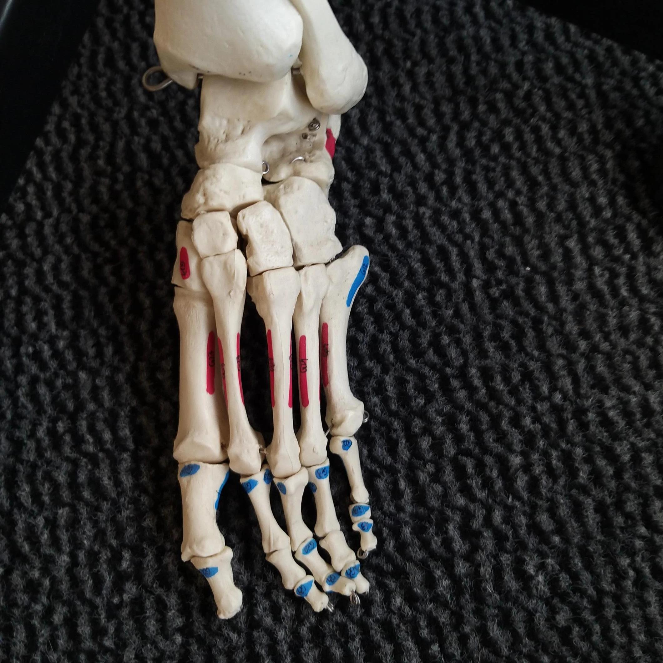 Ways to improve foot health