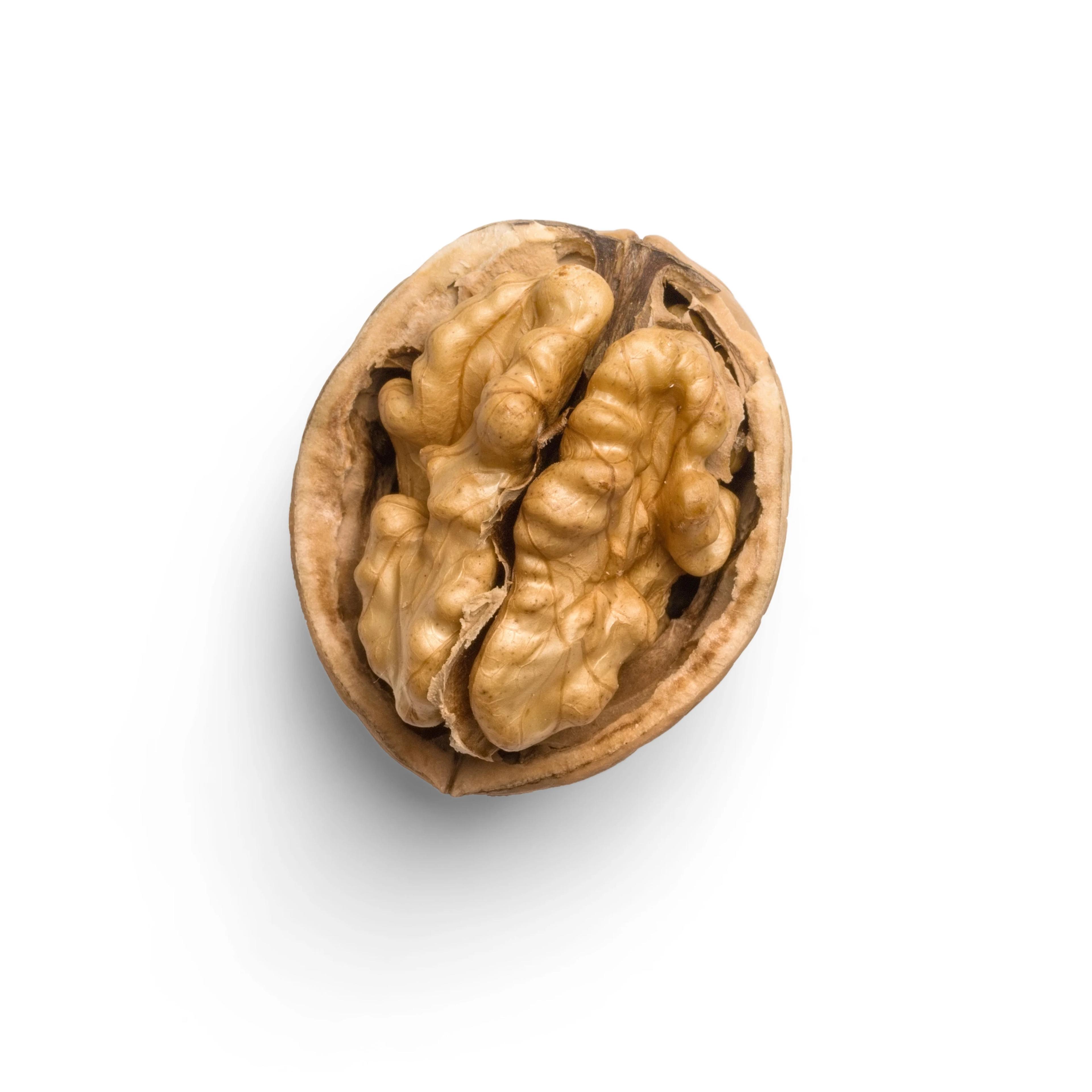Going nuts!
