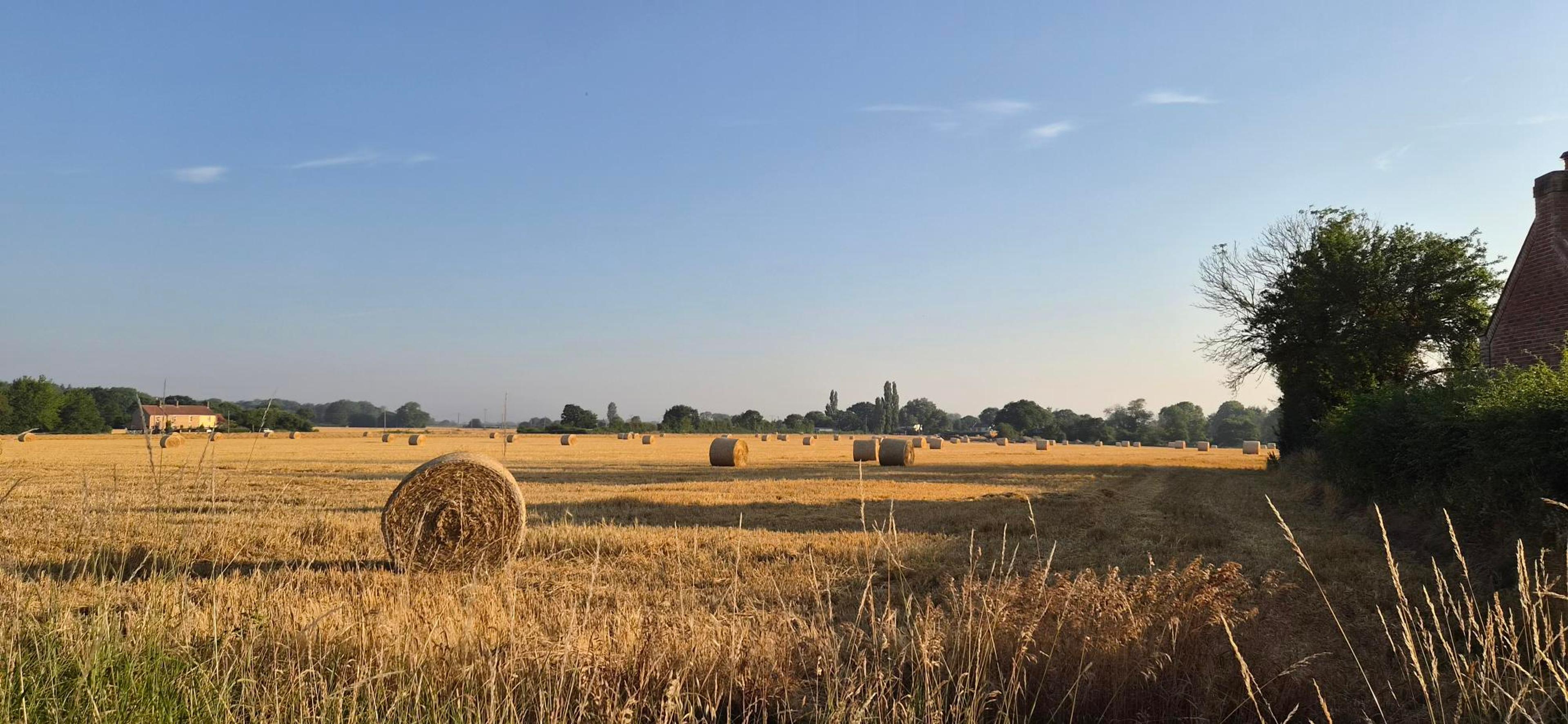 hay bales across fields in Suffolk