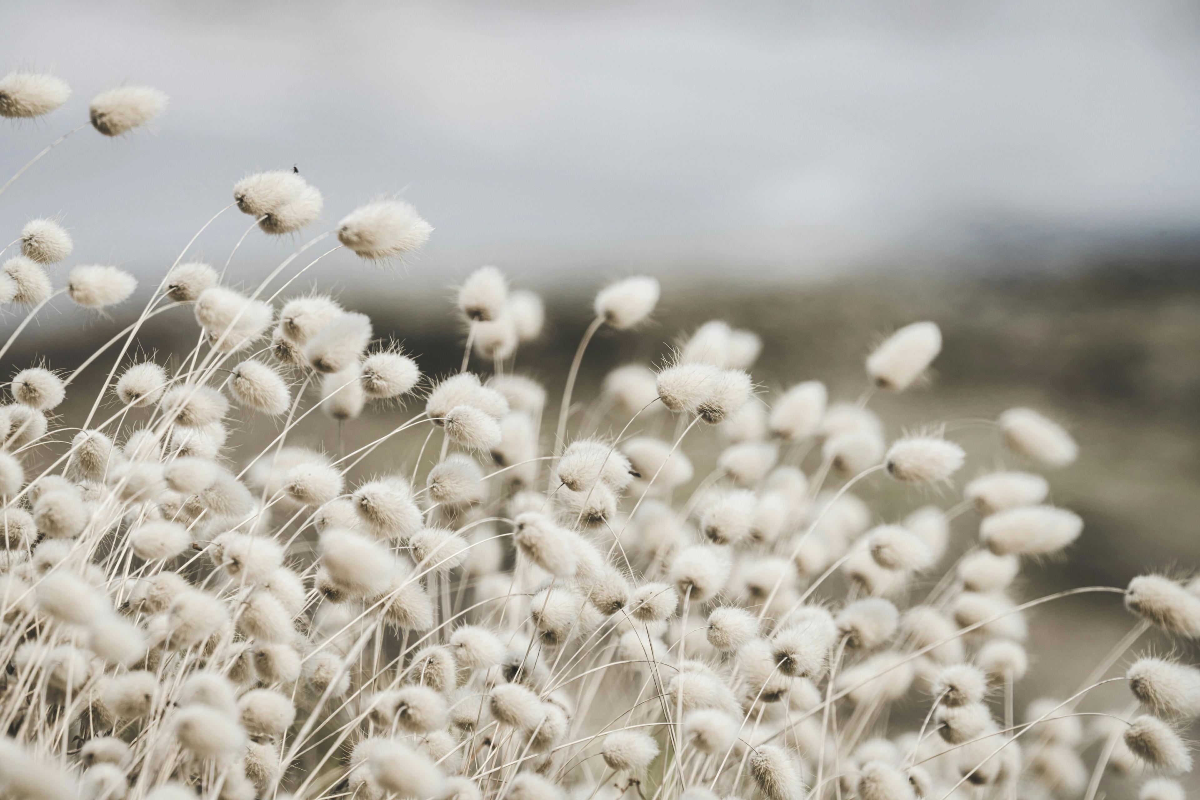 Yoga and the five elements