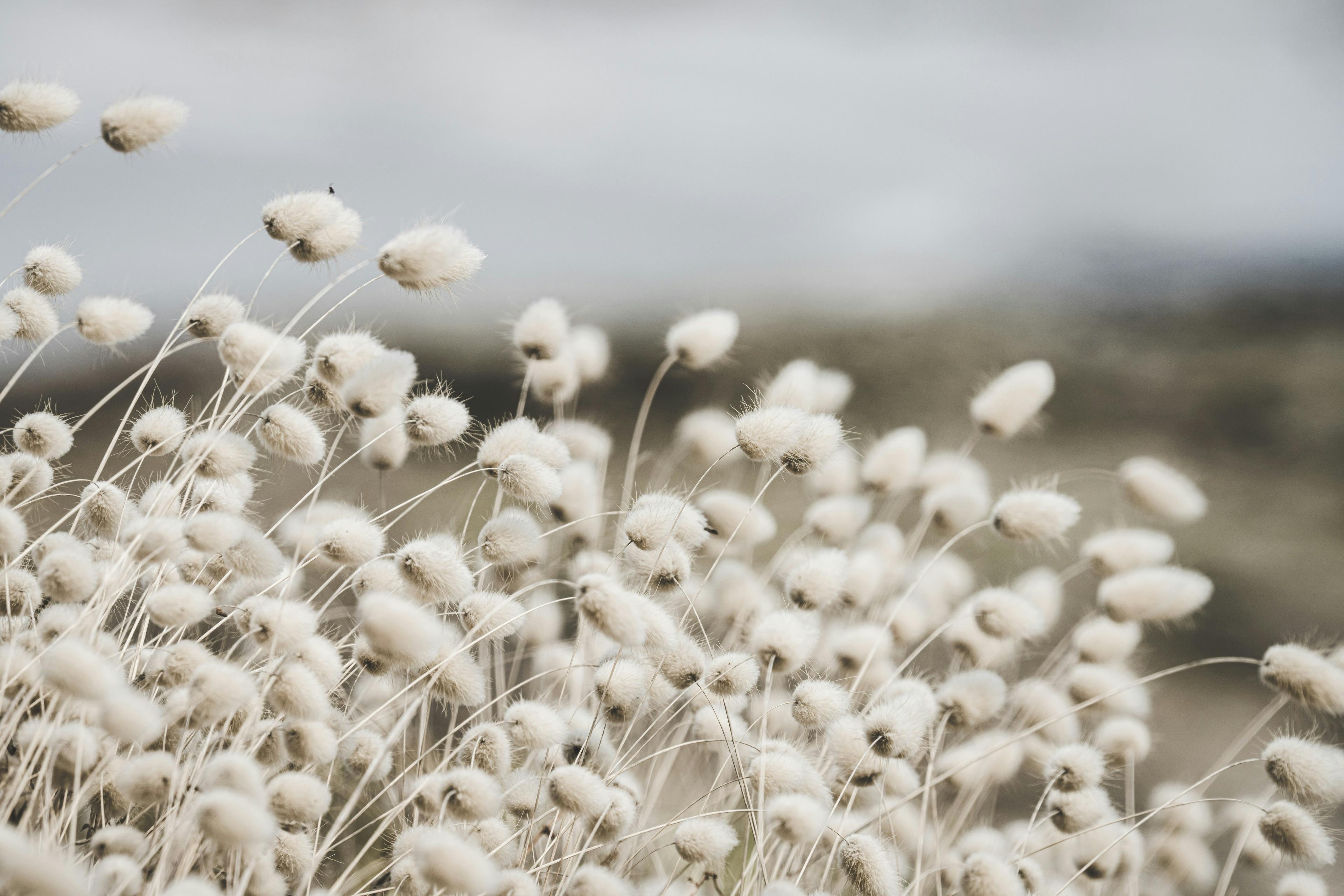 Yoga and the five elements