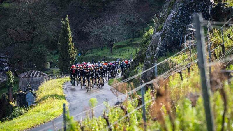 Desarrolla - Tu constructora de confianza