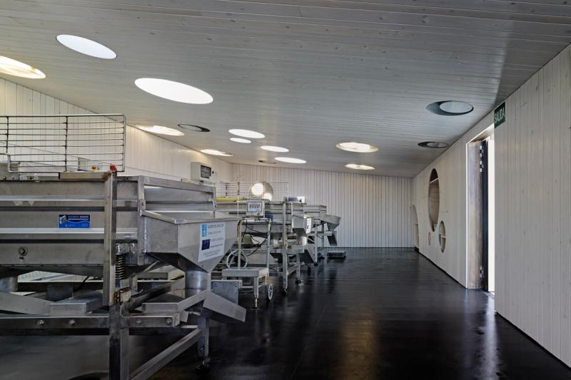 Desarrolla - Tu constructora de confianza