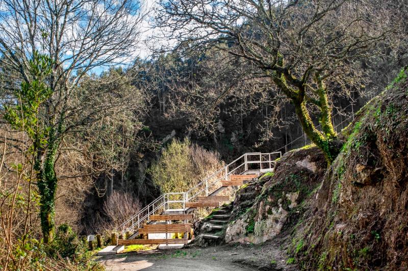 Desarrolla - Tu constructora de confianza