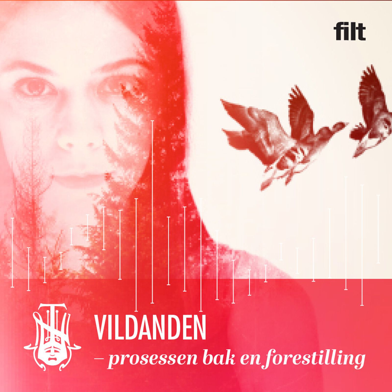Vildanden-prosessen bak en forestilling.