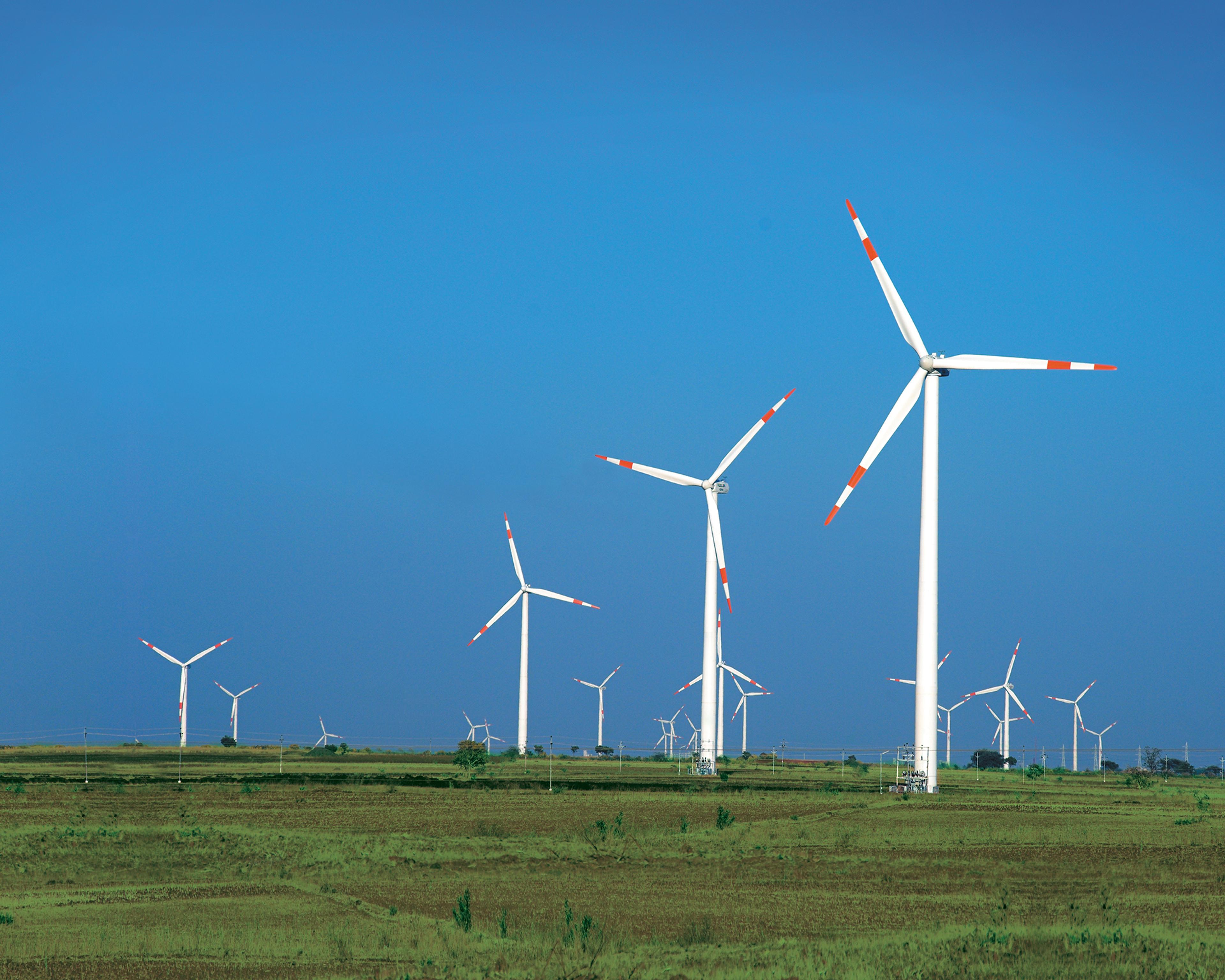 field showing multiple windmills