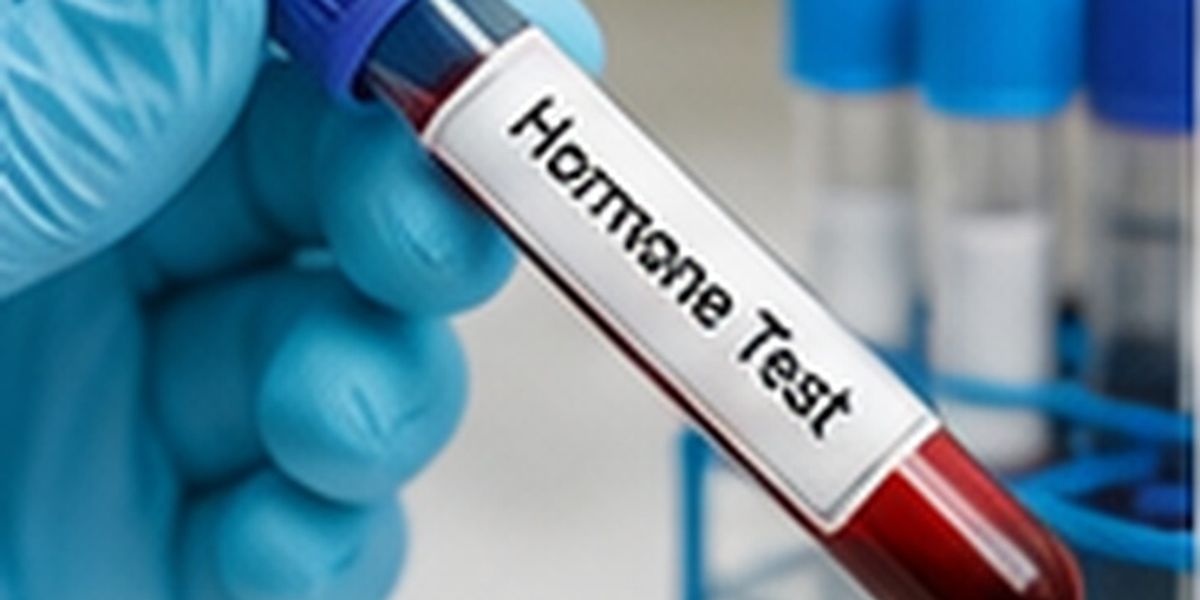 Hormonal Health Blood Test
