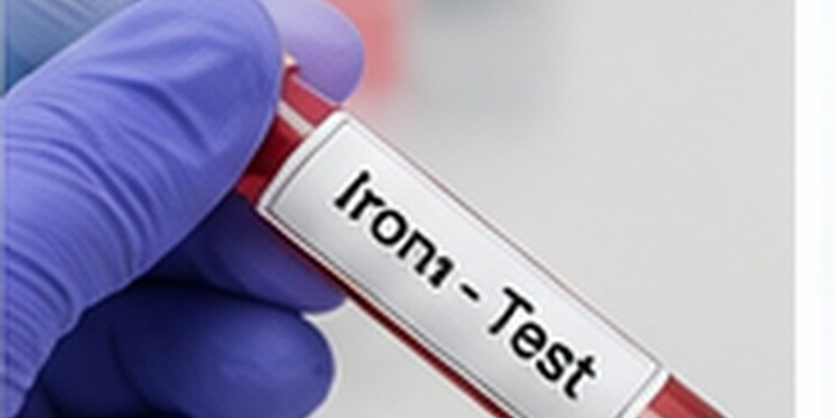 Anaemia Profile Blood Test