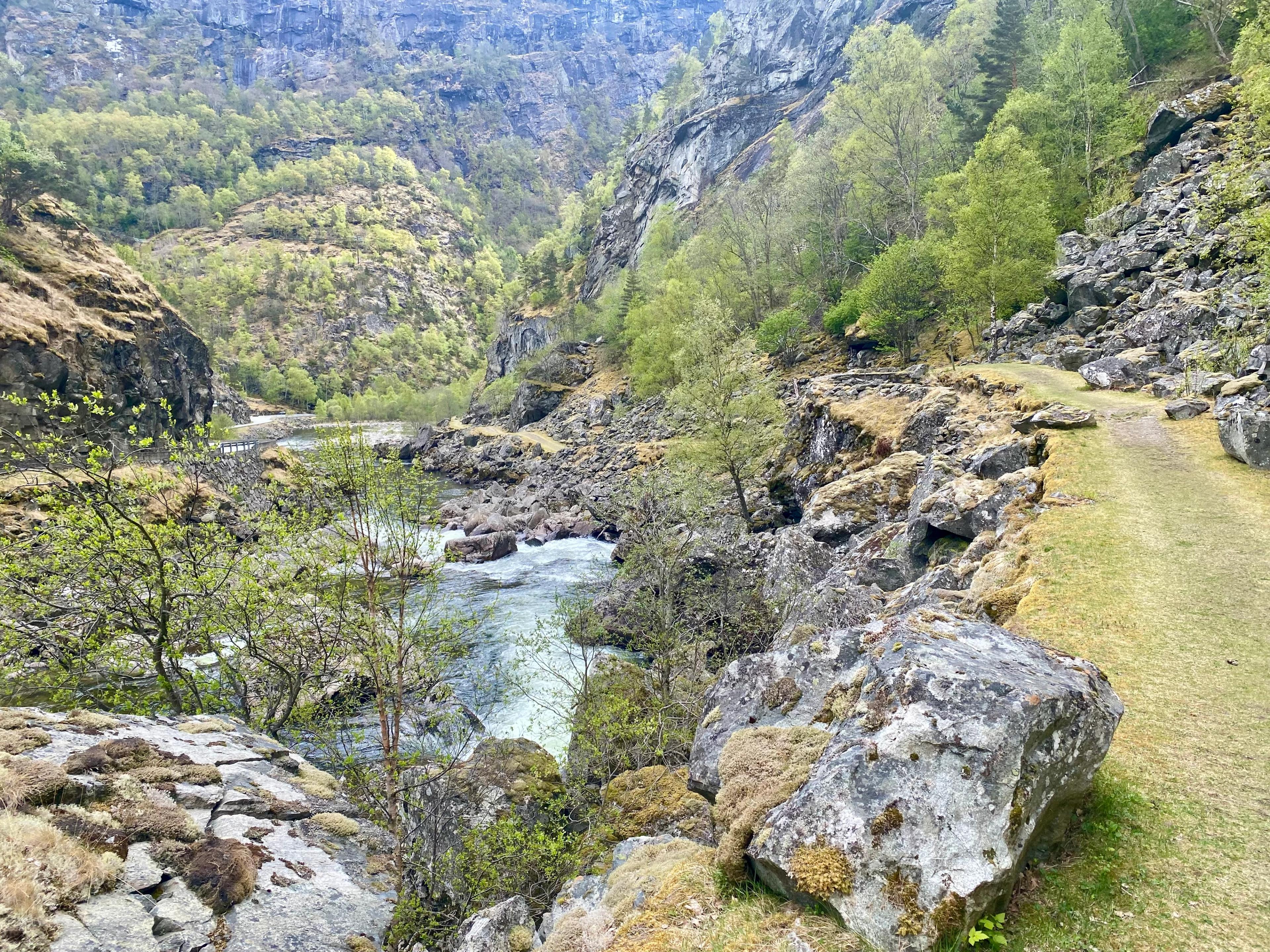 Kongevegen mot Seltøyna langs med Lærdalselva i nydelige vårfarger