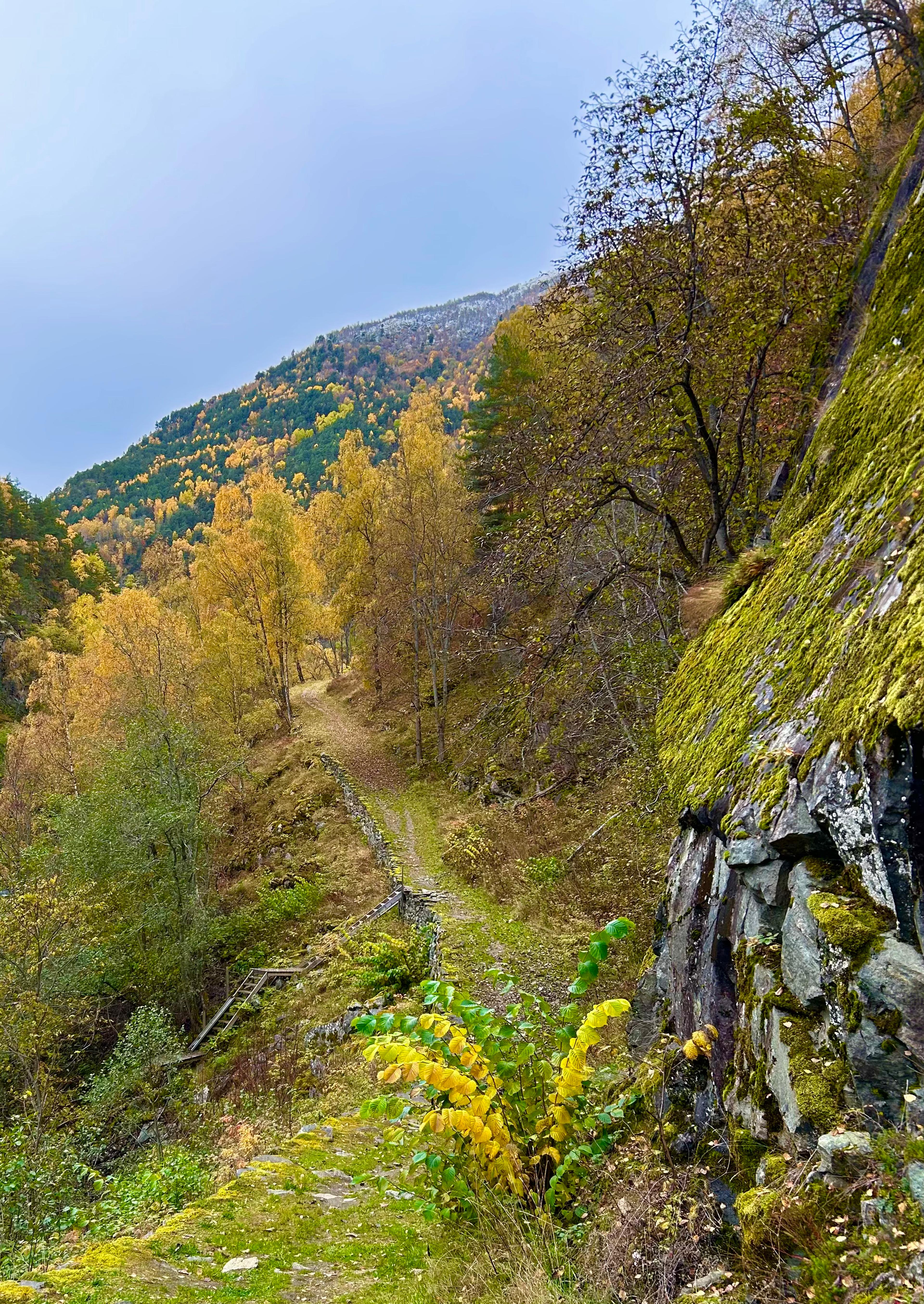 La Route Royale en couleurs d'automne