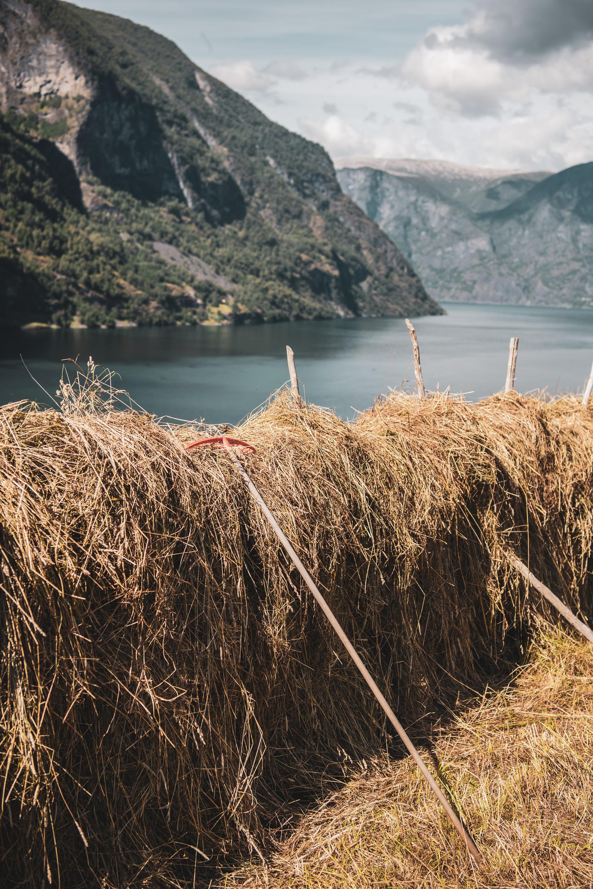 Historic Farm Tour in Otternes – Fjord Heritage Experience | Norway’s best
