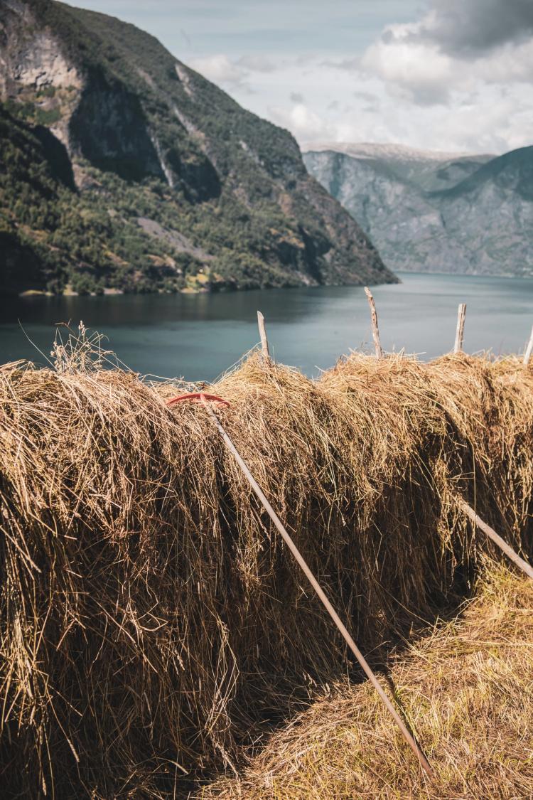 Historic Farm Tour in Otternes – Fjord Heritage Experience | Norway’s best