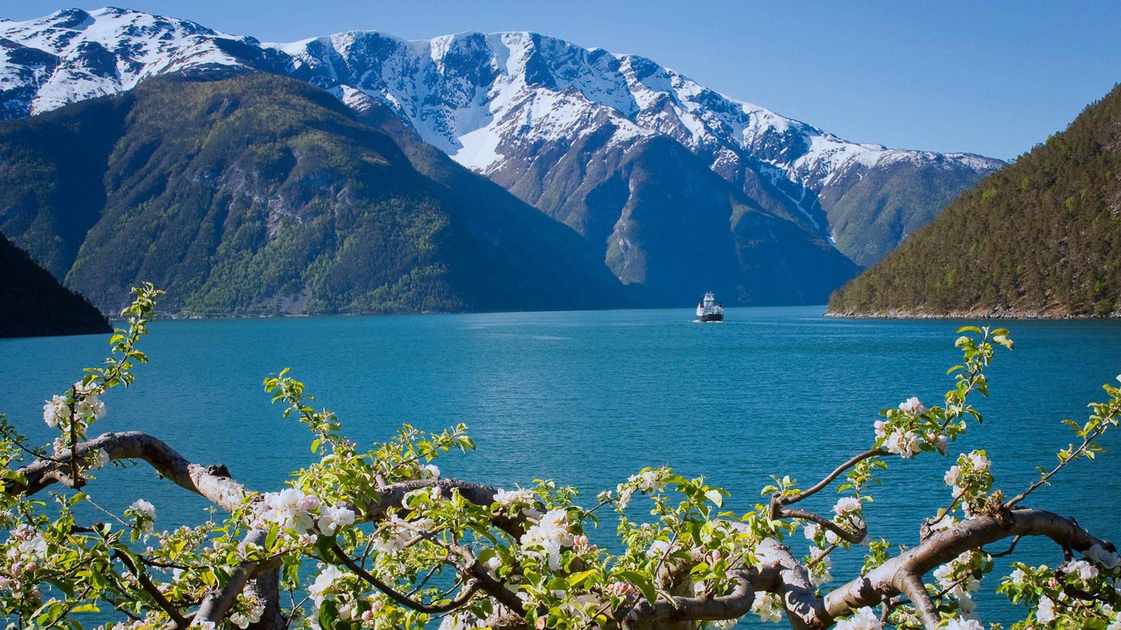 Sognefjord