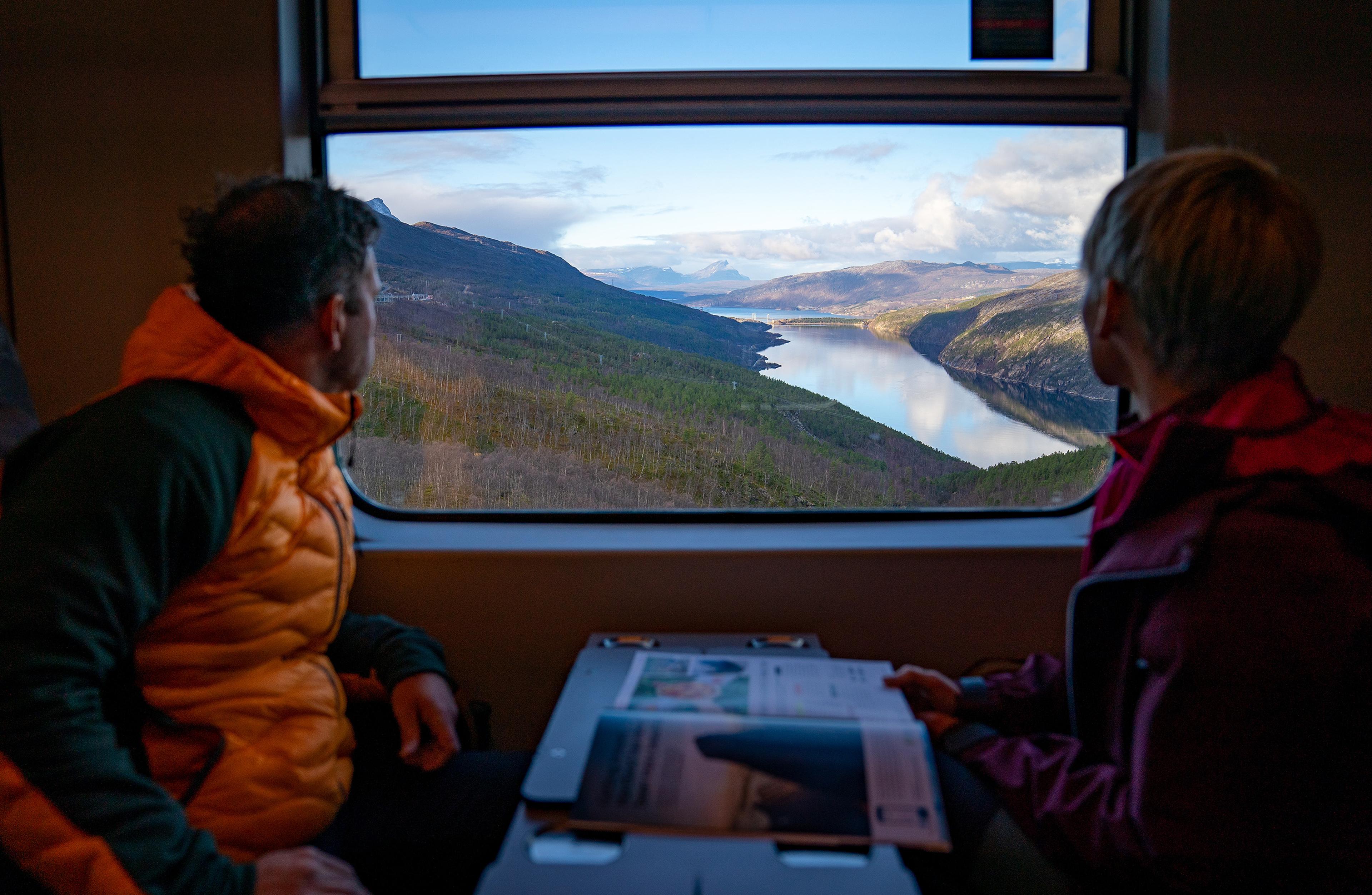 The Arctic Train Narvik