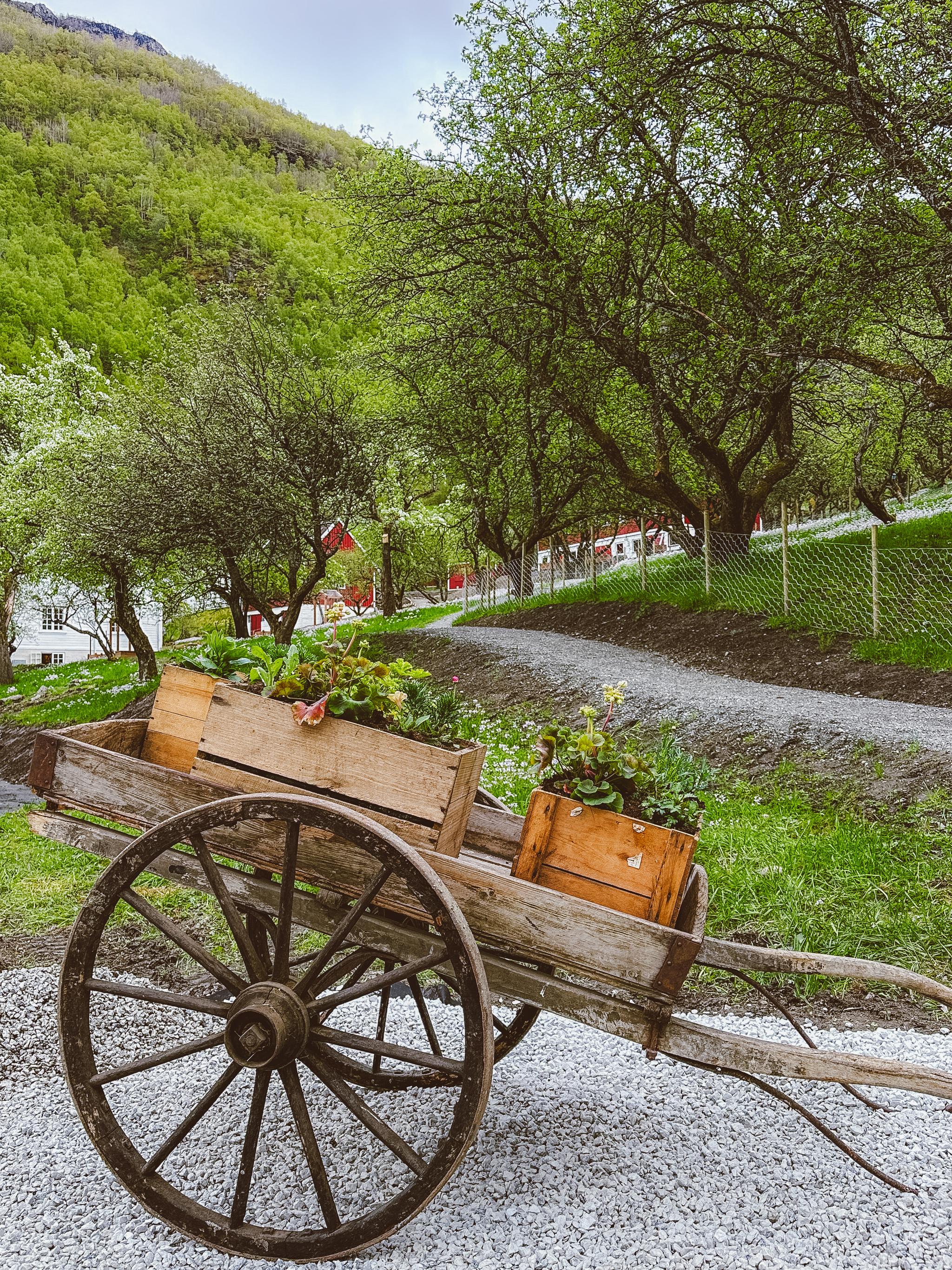 The Fjord Farm in Flåm – Local Food, Animals & Norwegian Traditions ...