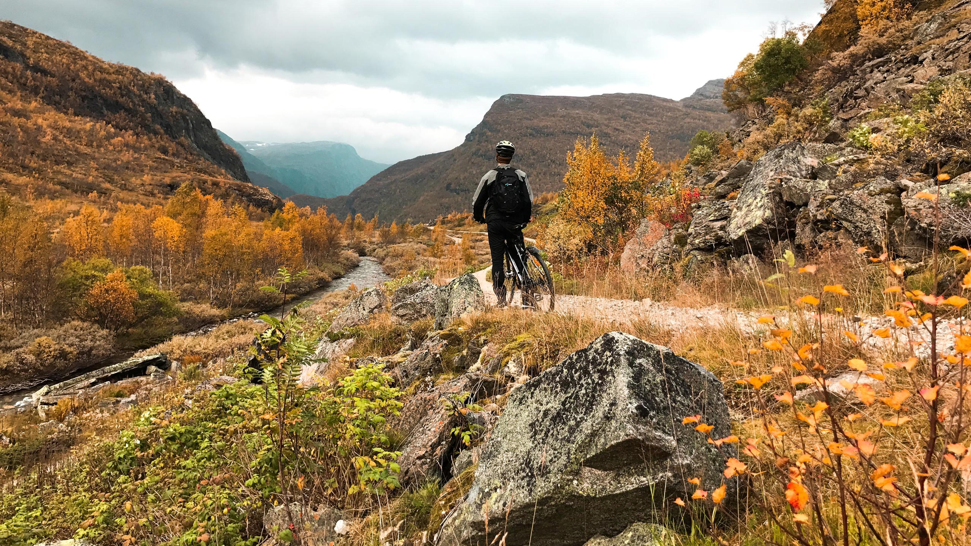 La imagen muestra a un hombre en bicicleta en Flåm.