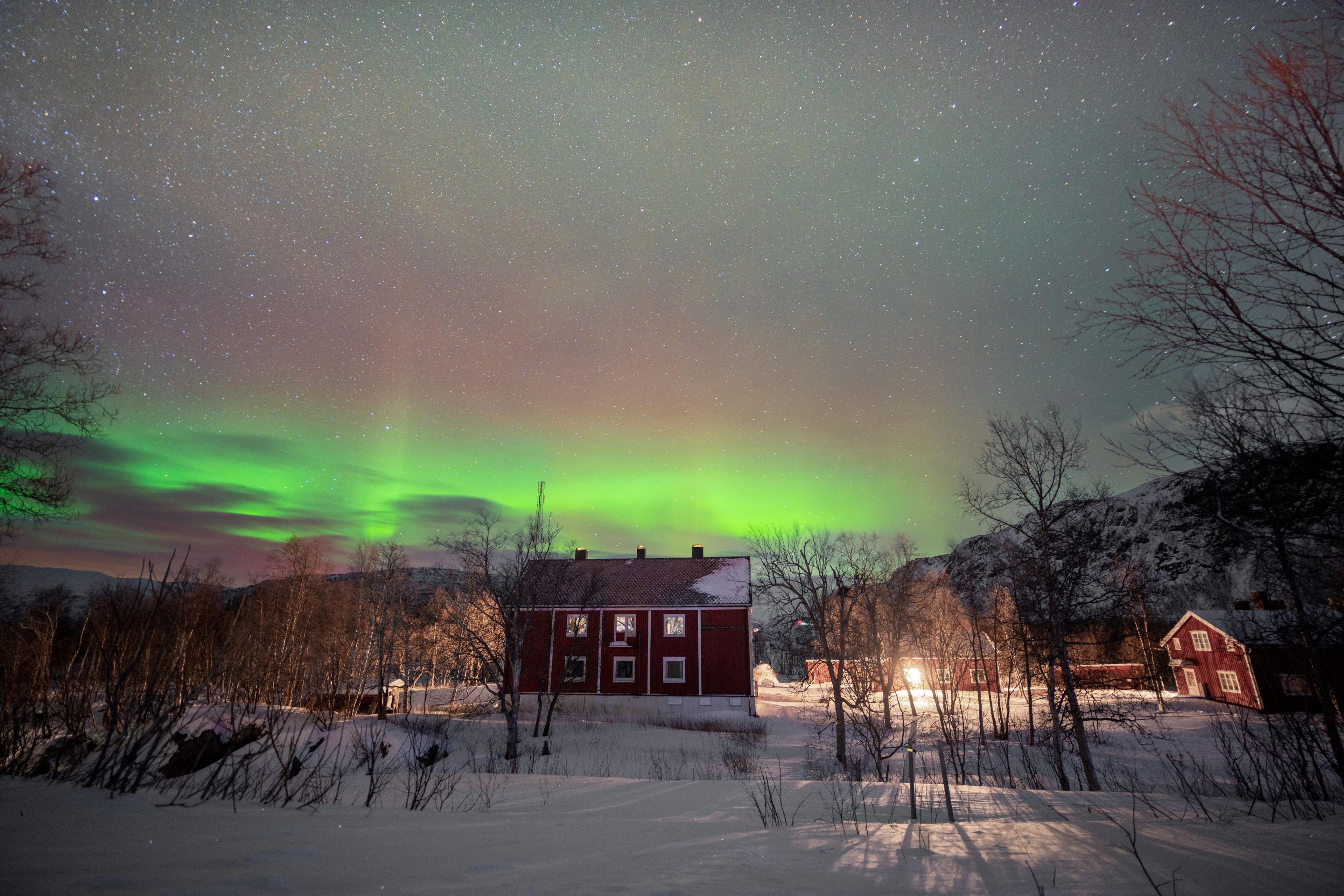 The Arctic Train Narvik