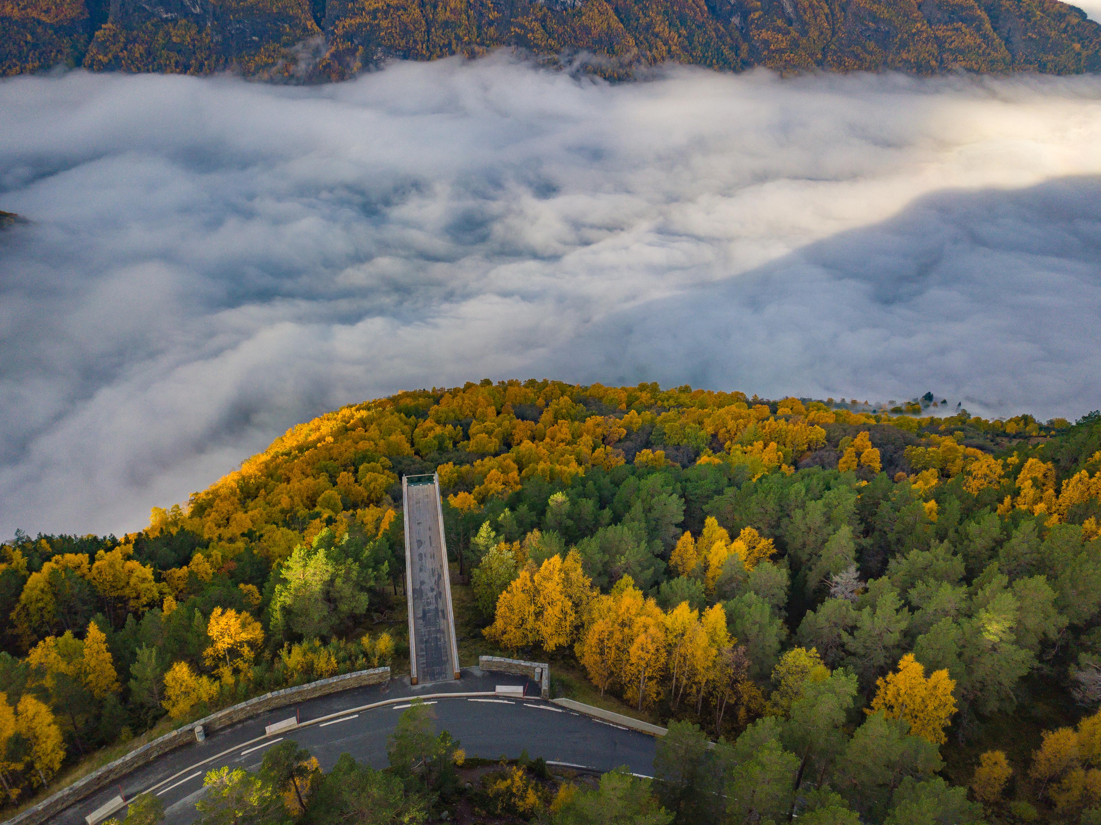 Stegastain from a bird perspective during fall