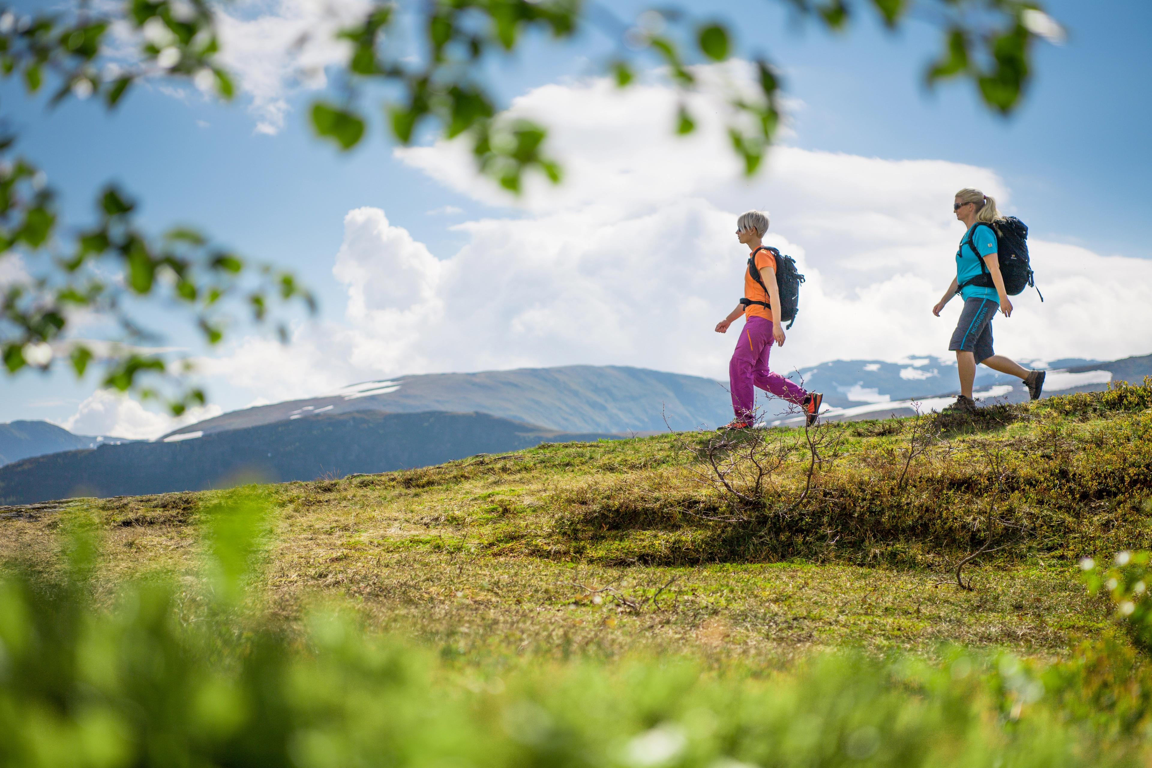 To turgåere på Vikafjellet.