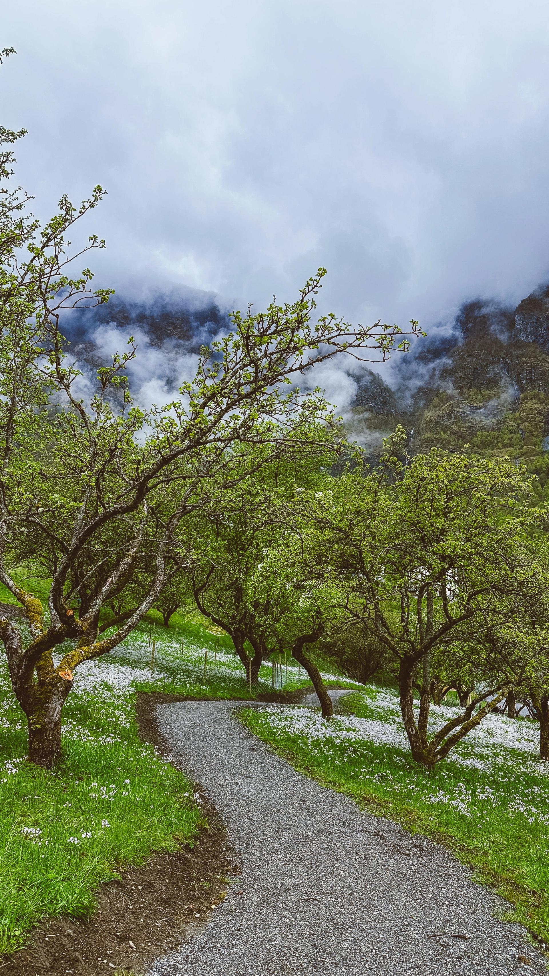 The Fjord Farm in Flåm – Local Food, Animals & Norwegian Traditions ...
