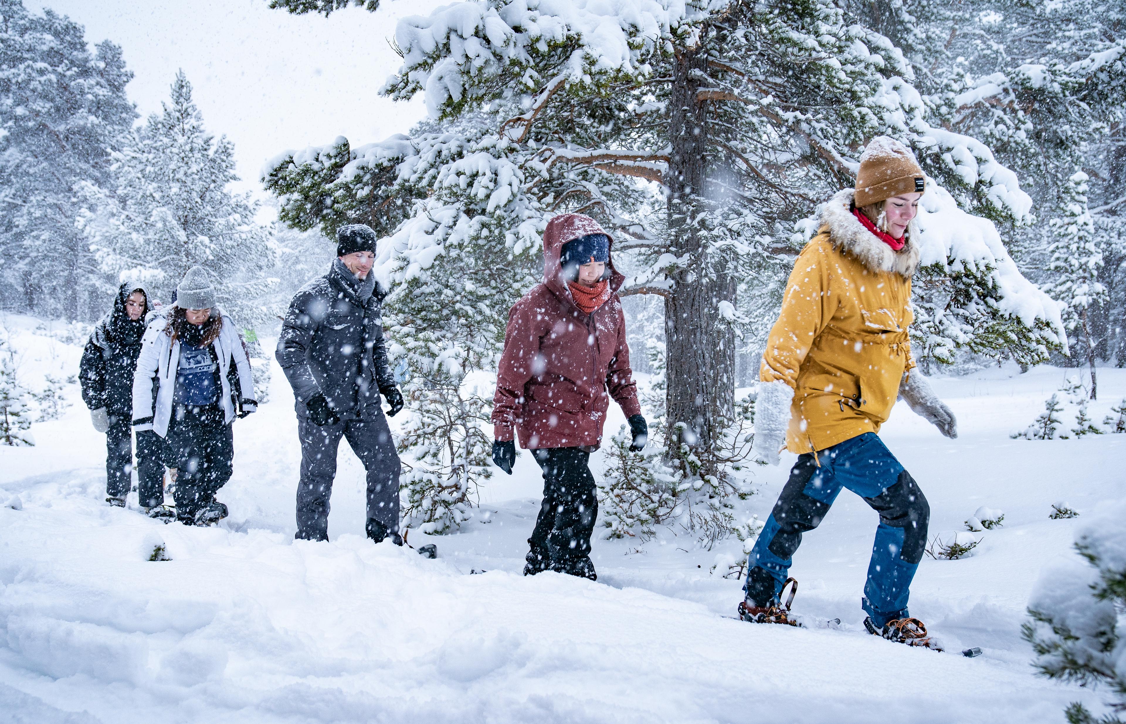 Et turfølge går på truger gjennom skogen i snøvær.