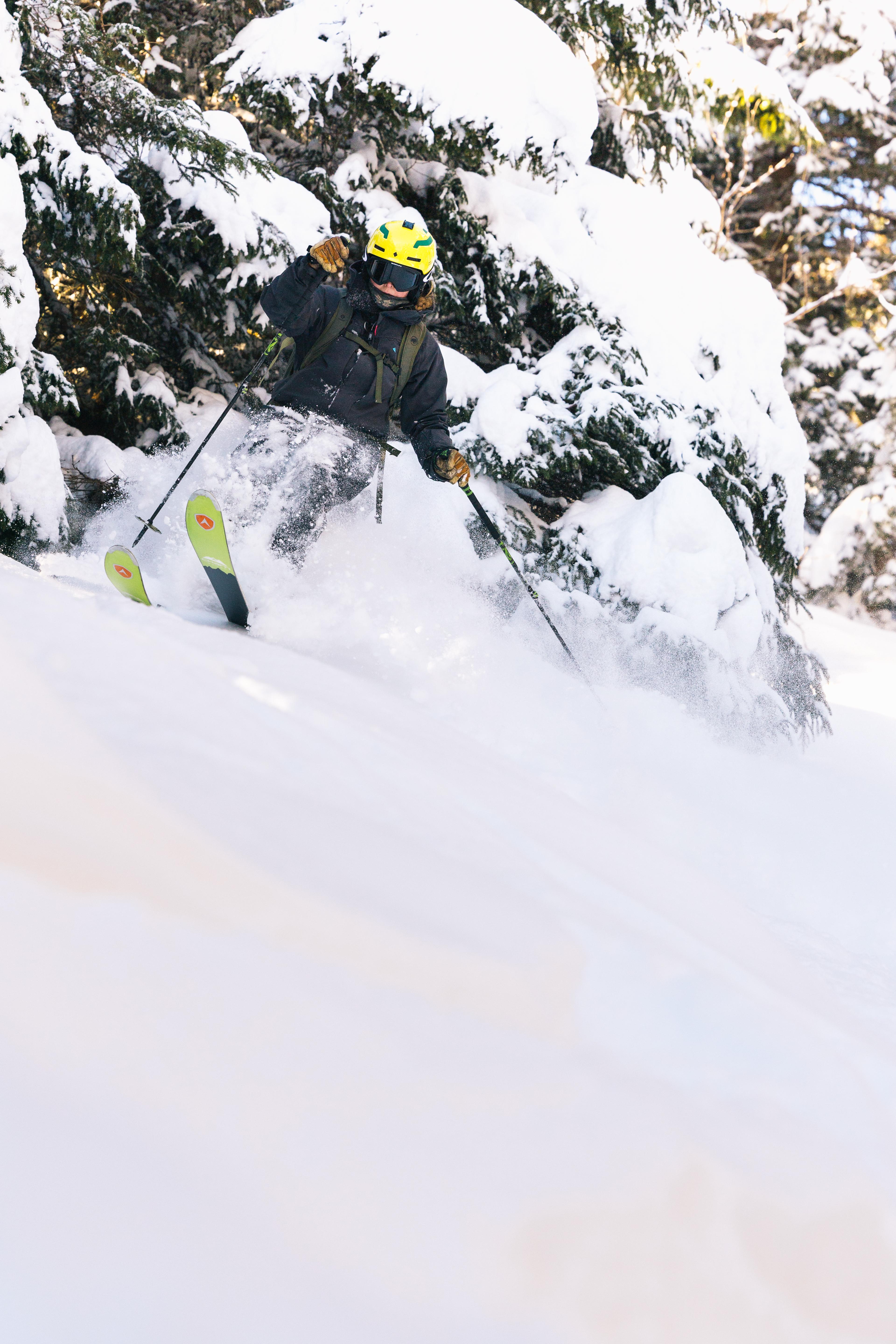 Skiing between the trees in fresh snow.