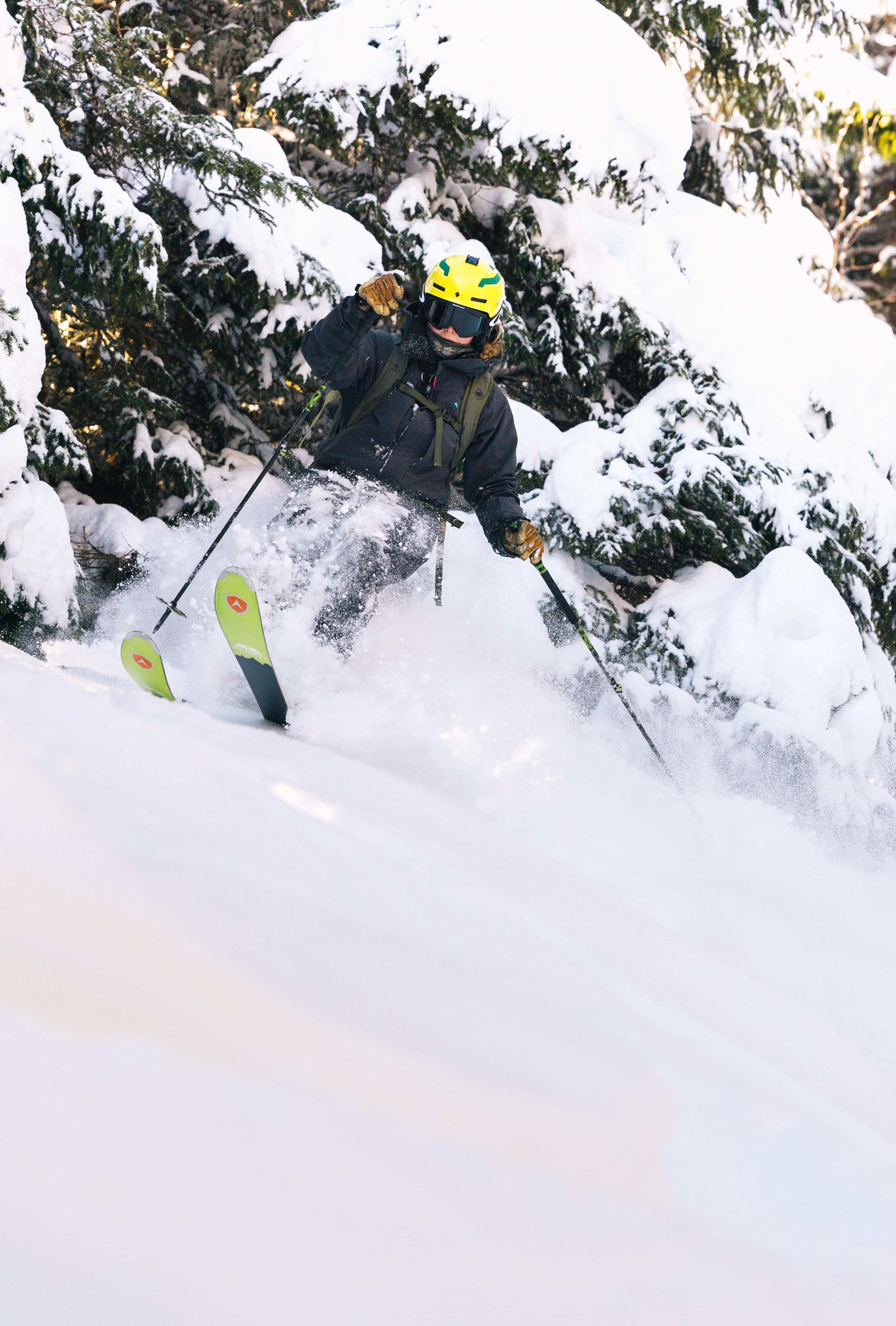 Frikjører svinger mellom trærne i nysnø.