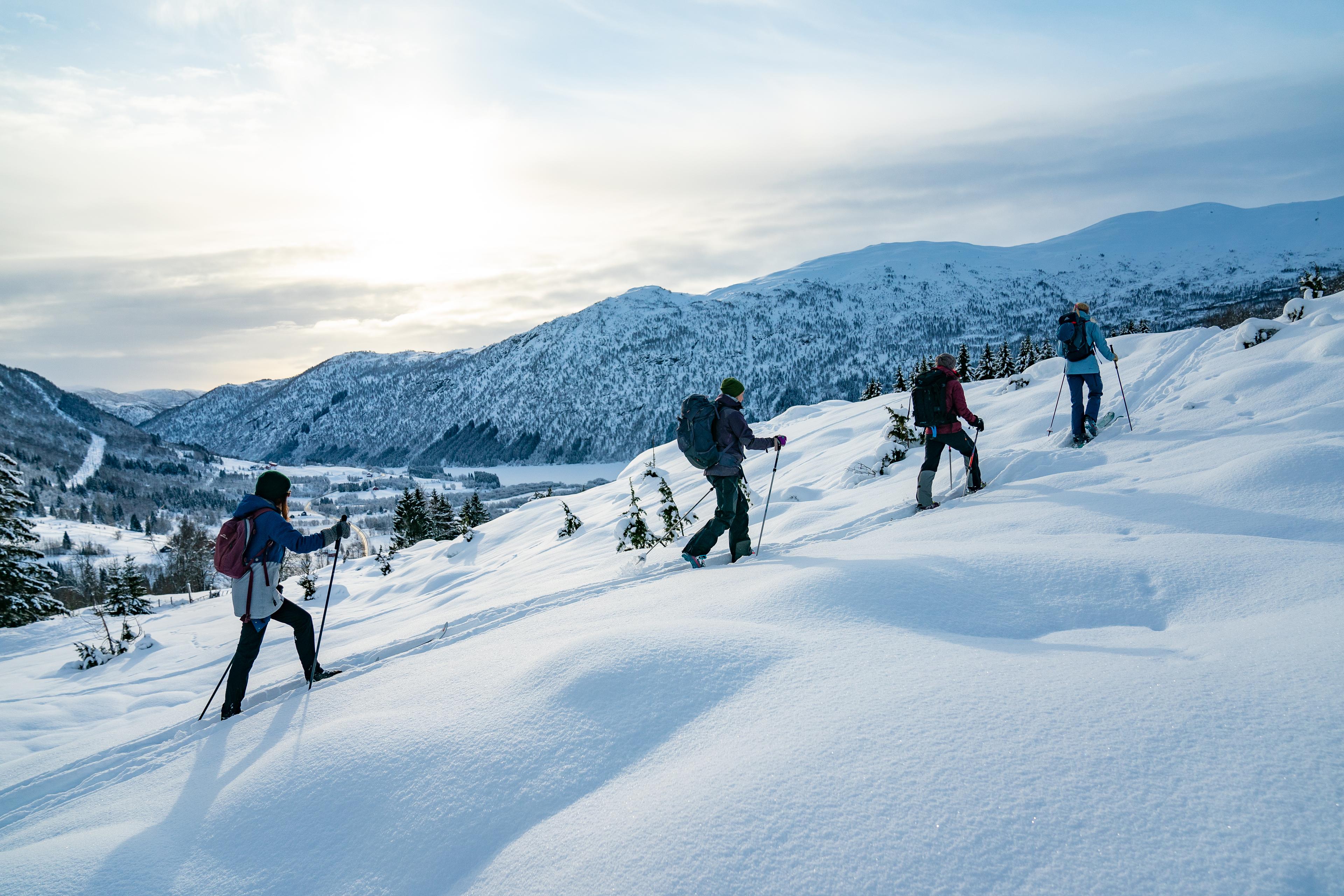 En gruppe på ski går oppover fjellet med dalen i bakgrunnen.