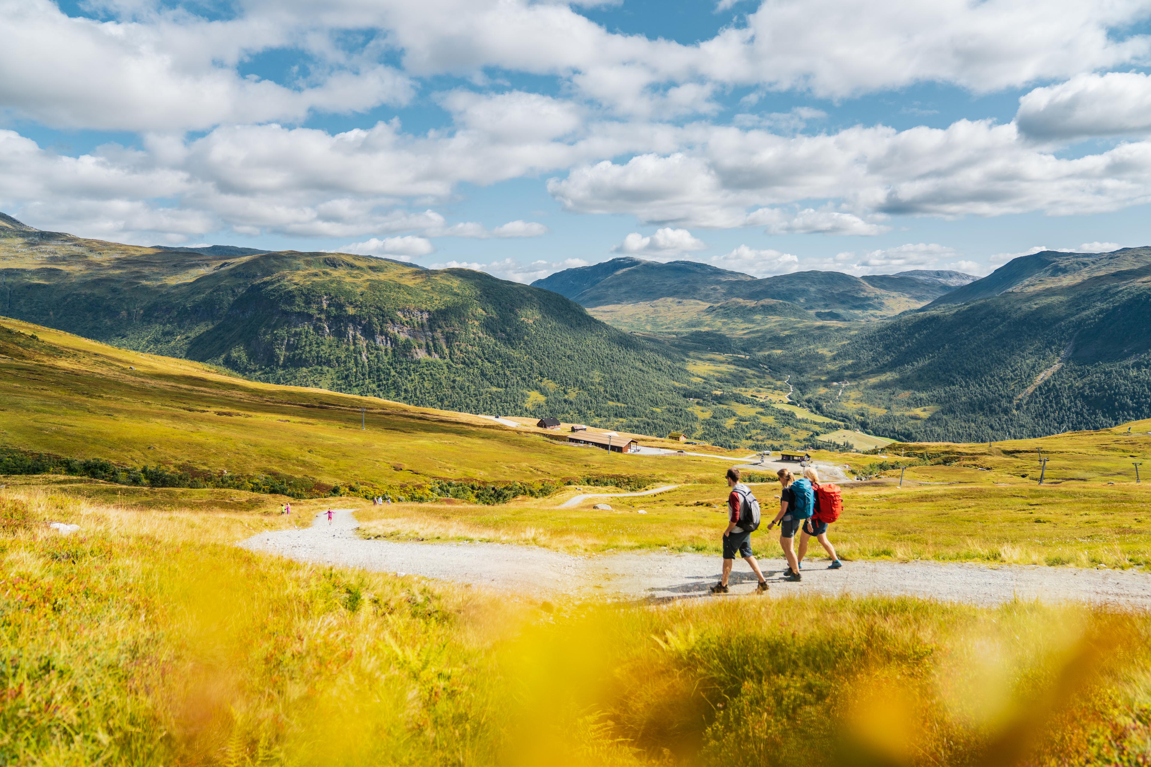 Tre venner på fjelltur går langs grusvei en sommerdag.