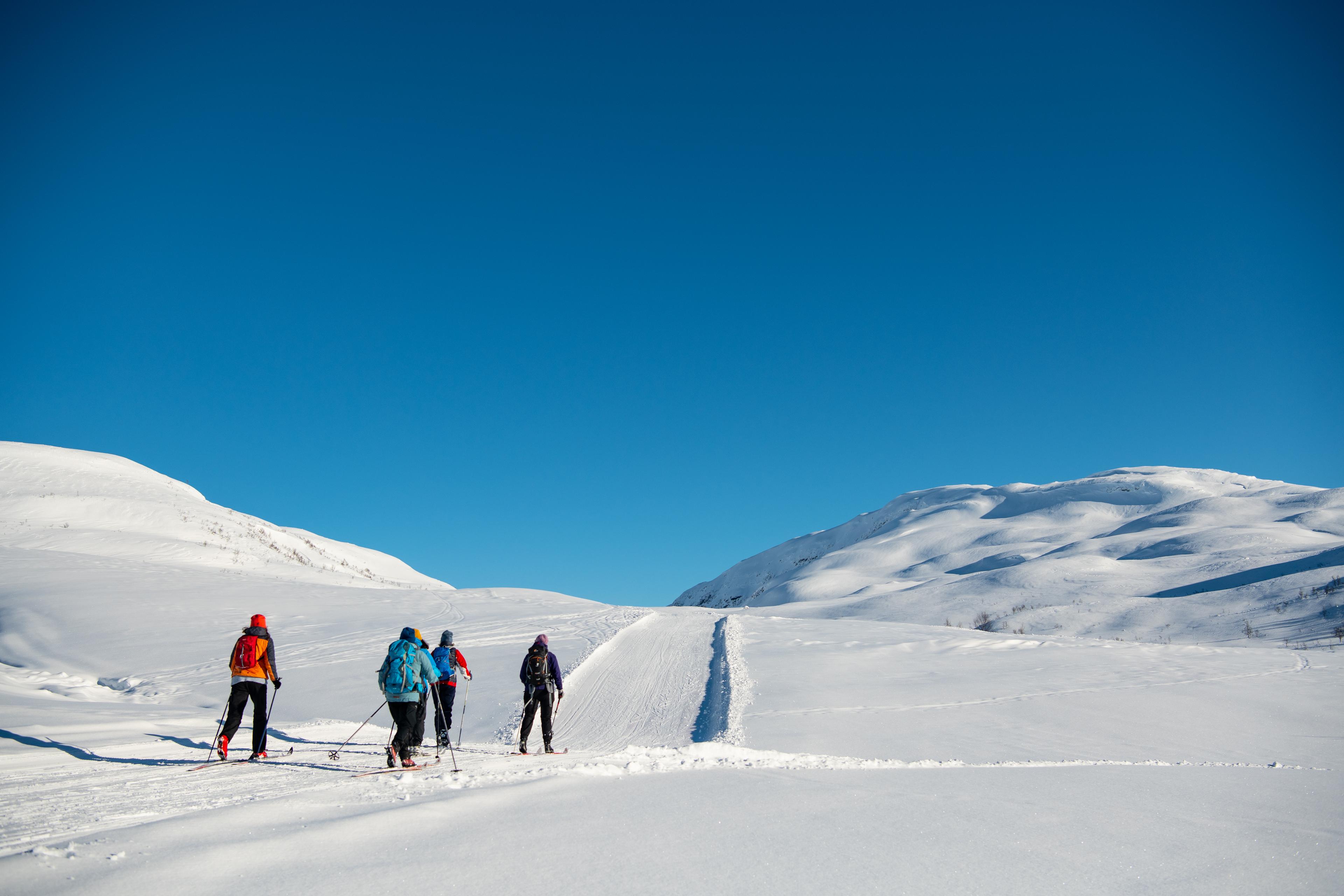 Et turfølge går på ski oppover fjellet.