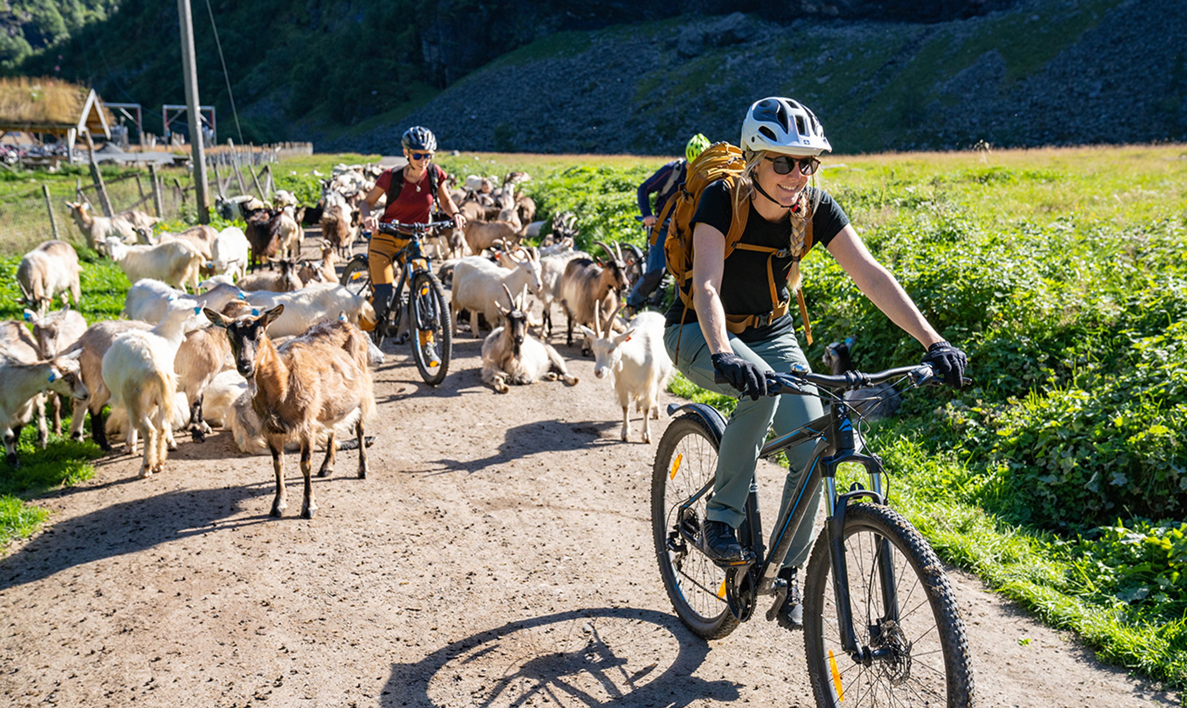 Biking through Flåmsdalen