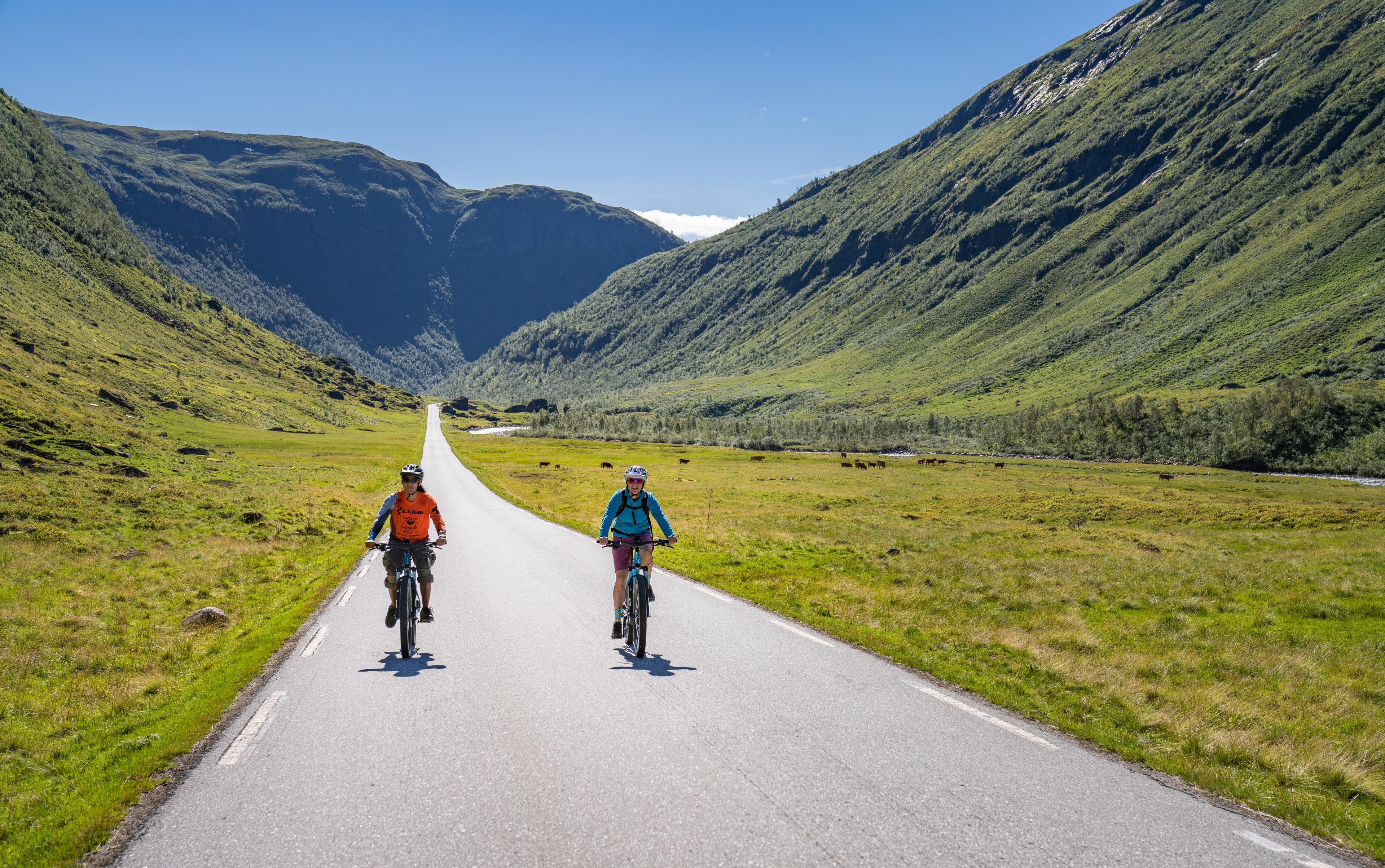 Two cyclists ride on the road over the mountain on a summer day.