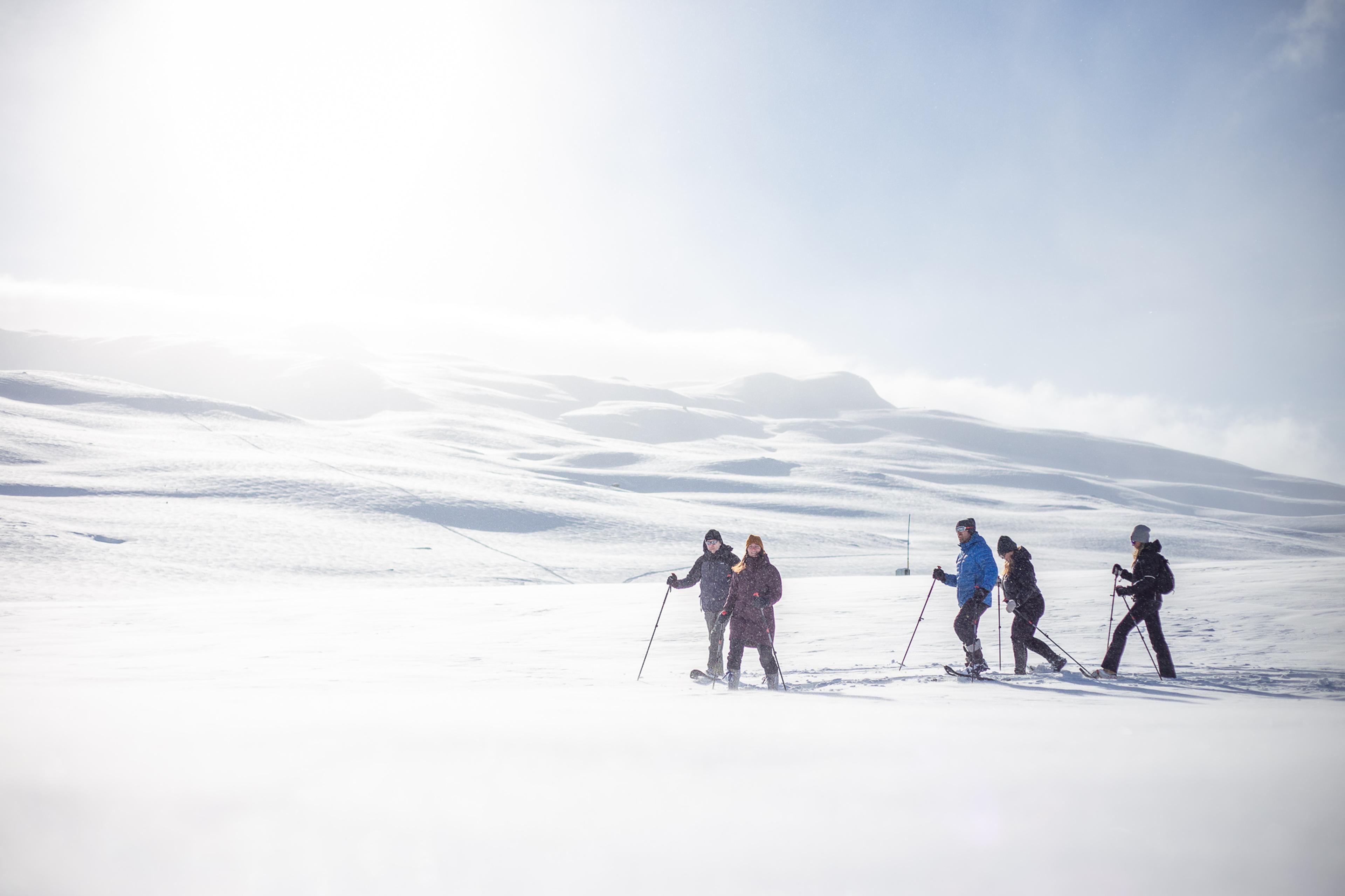 Snow Coach adventure