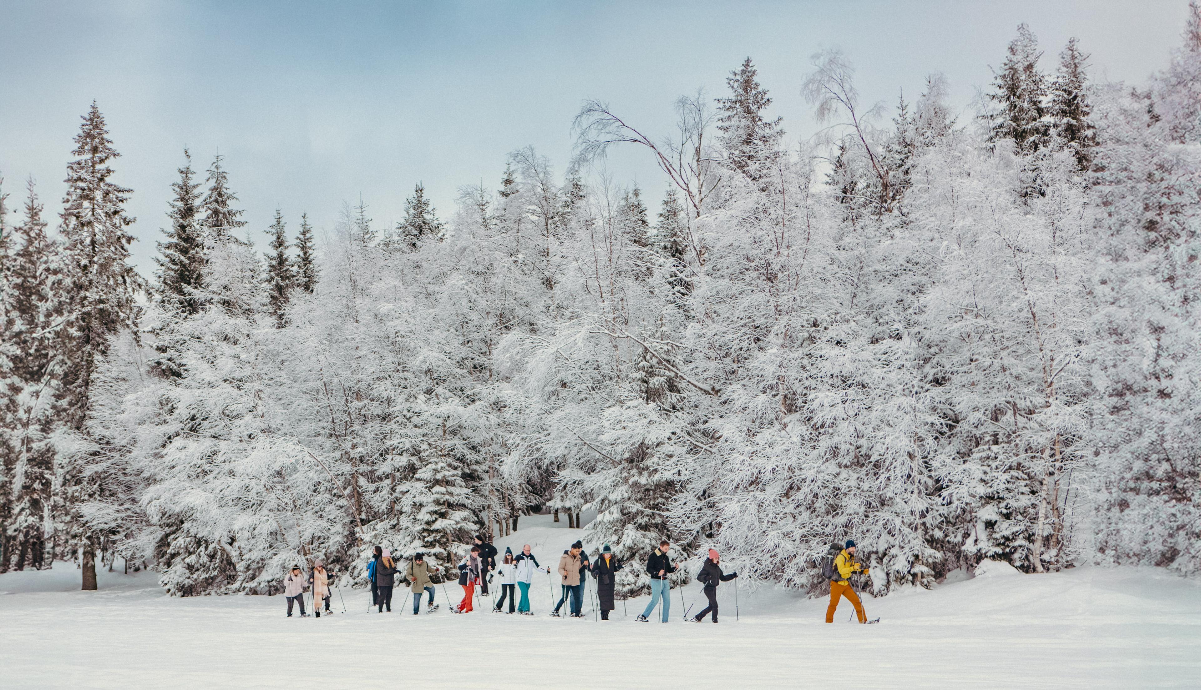 A group walking on snowshoes through the winter coated forest