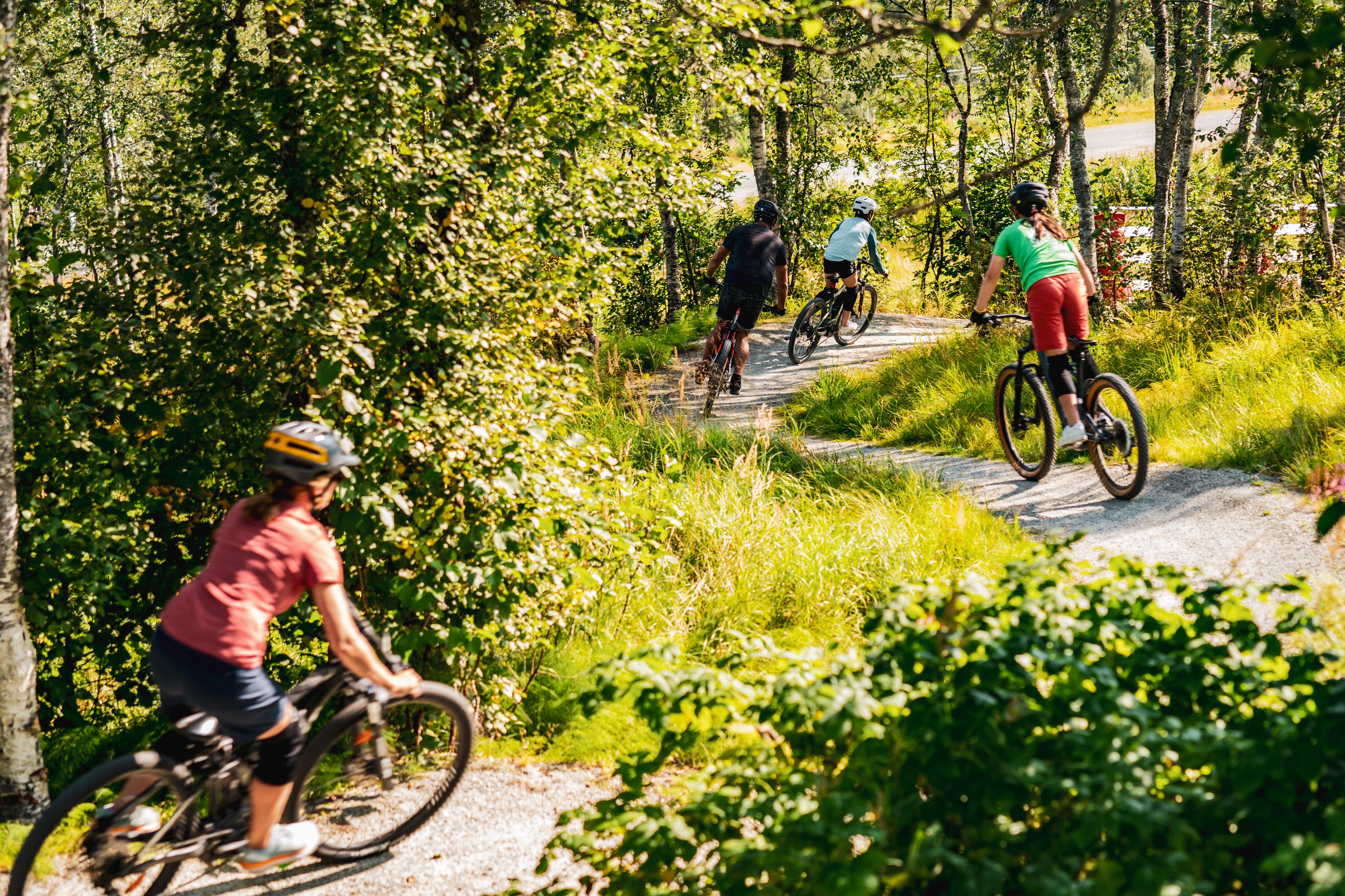 Barn sykler ned en svingete sti i skogen en sommerdag.