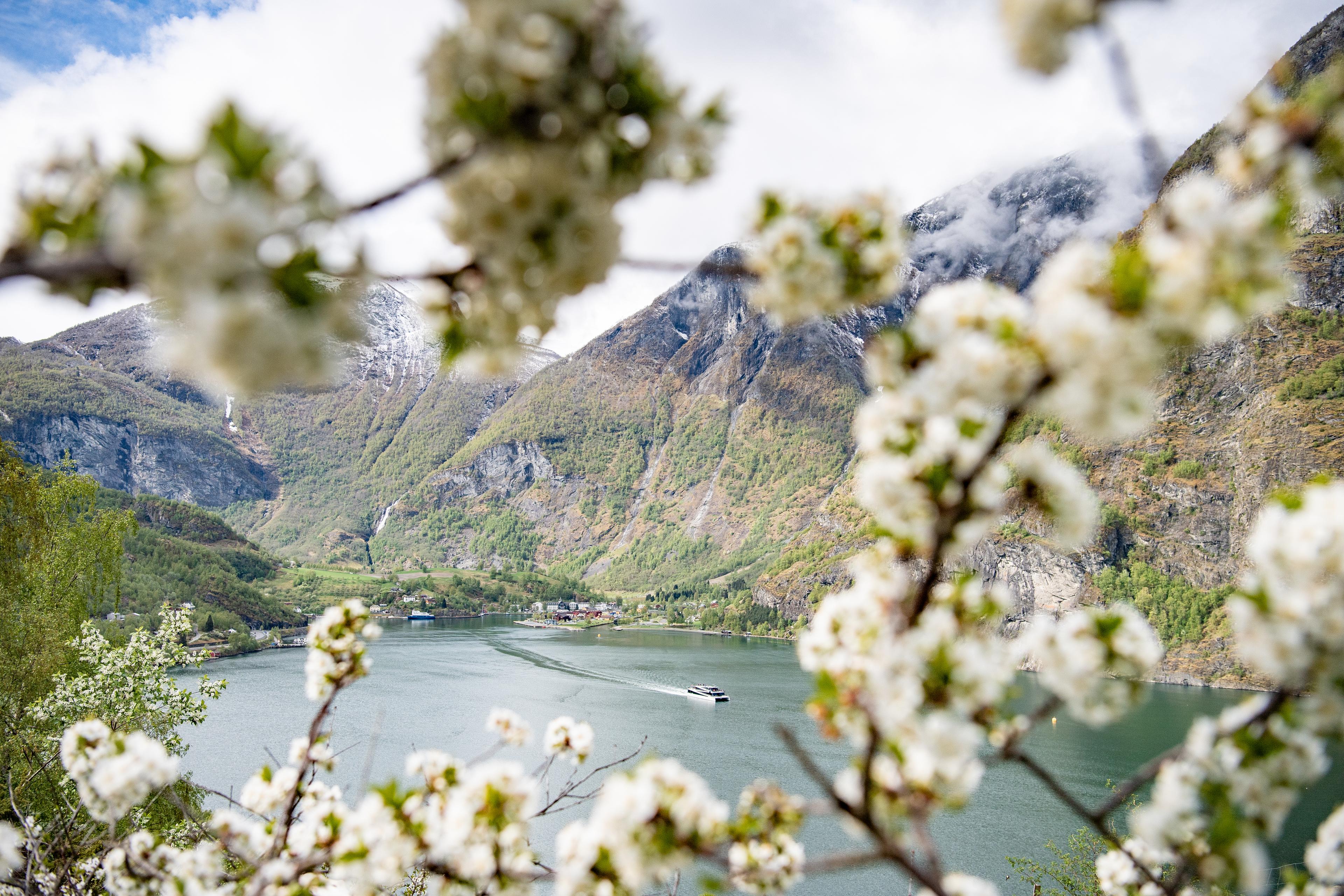 Flåm Spring